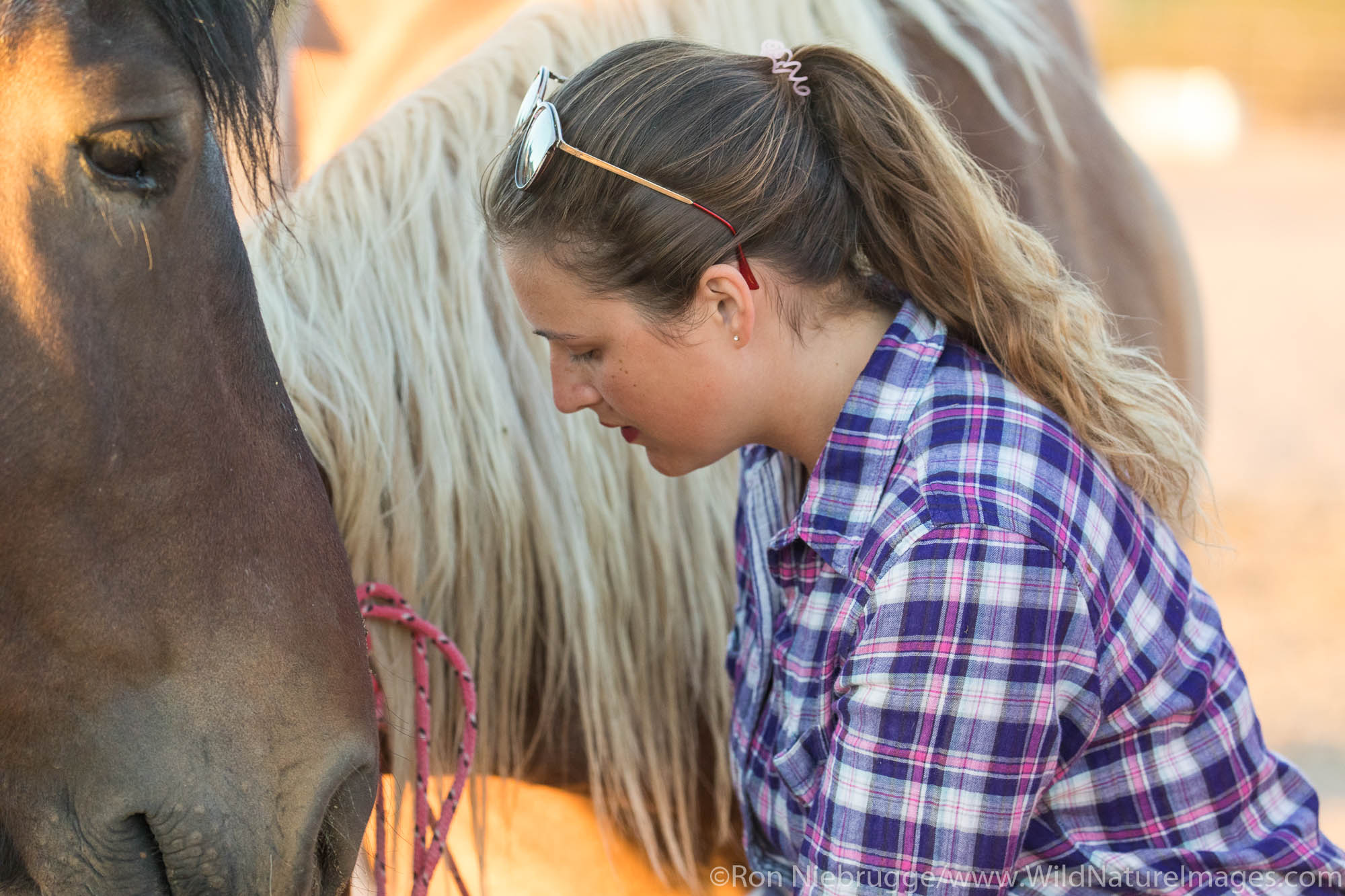 White Stallion Ranch, Tucson, Arizona.