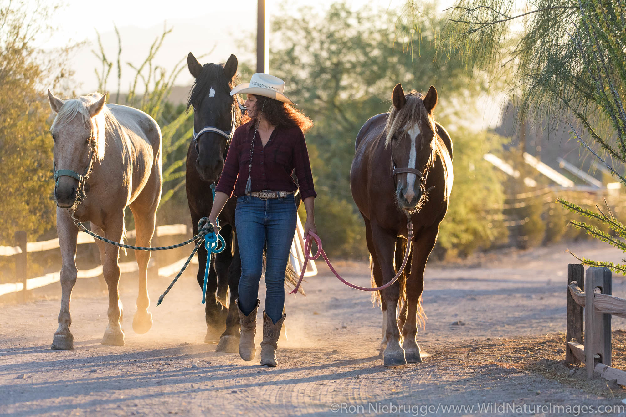 White Stallion Ranch, Tucson, Arizona.