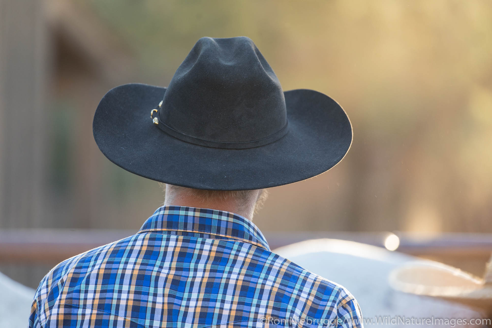 White Stallion Ranch, Tucson, Arizona.