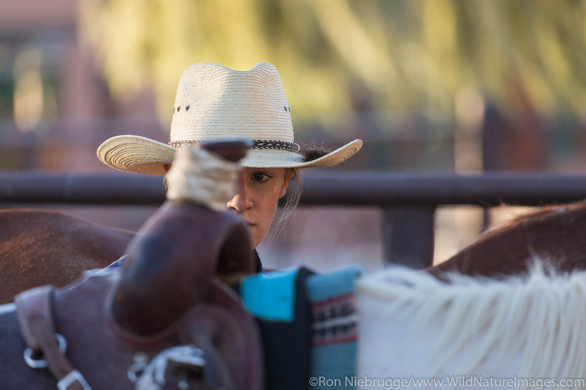 White Stallion Ranch, Tucson, Arizona.