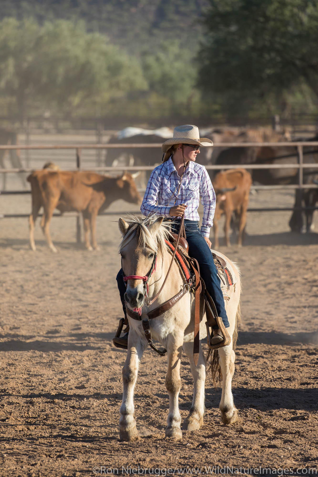 White Stallion Ranch, Tucson, Arizona.