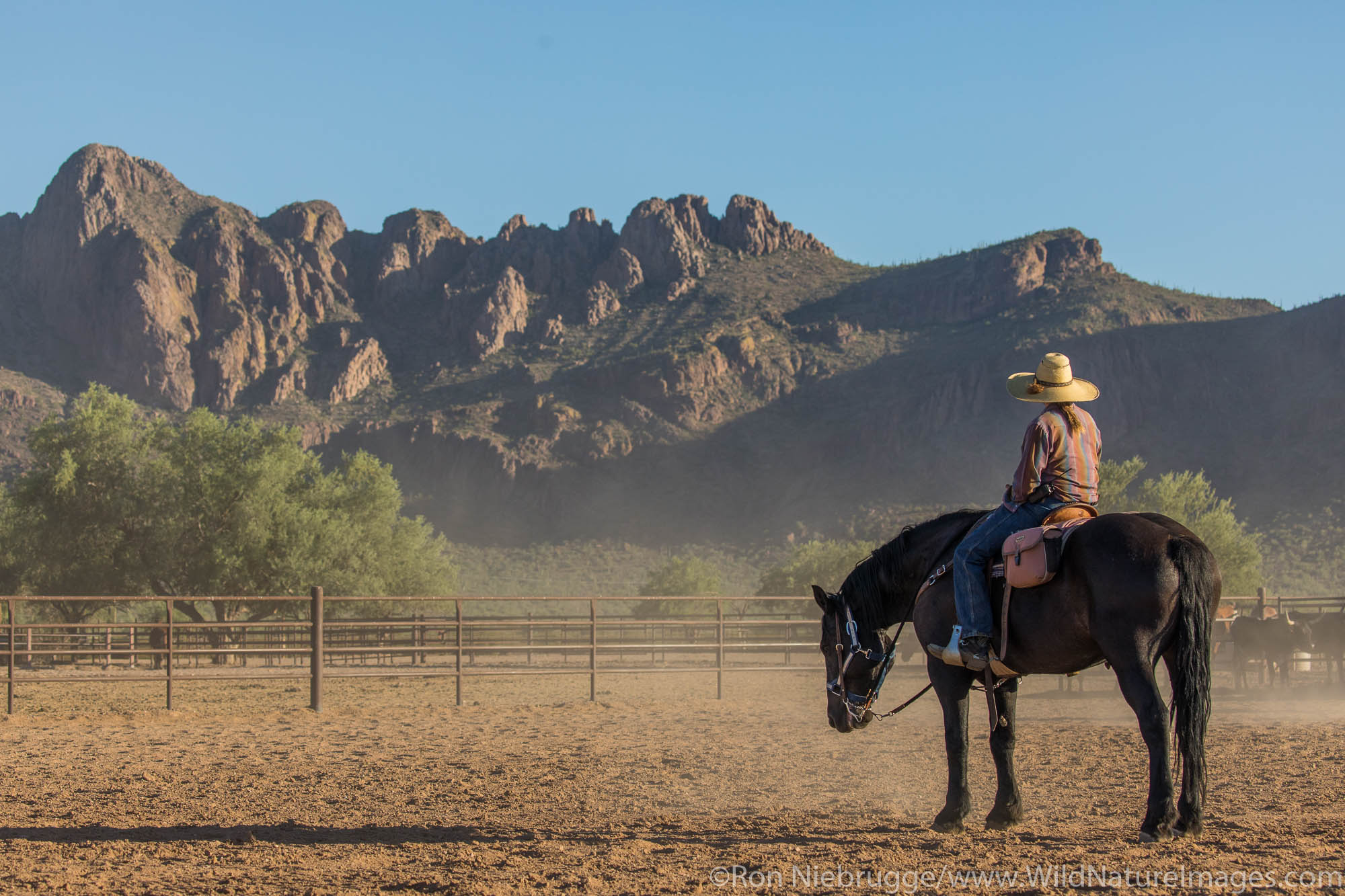 White Stallion Ranch, Tucson, Arizona.
