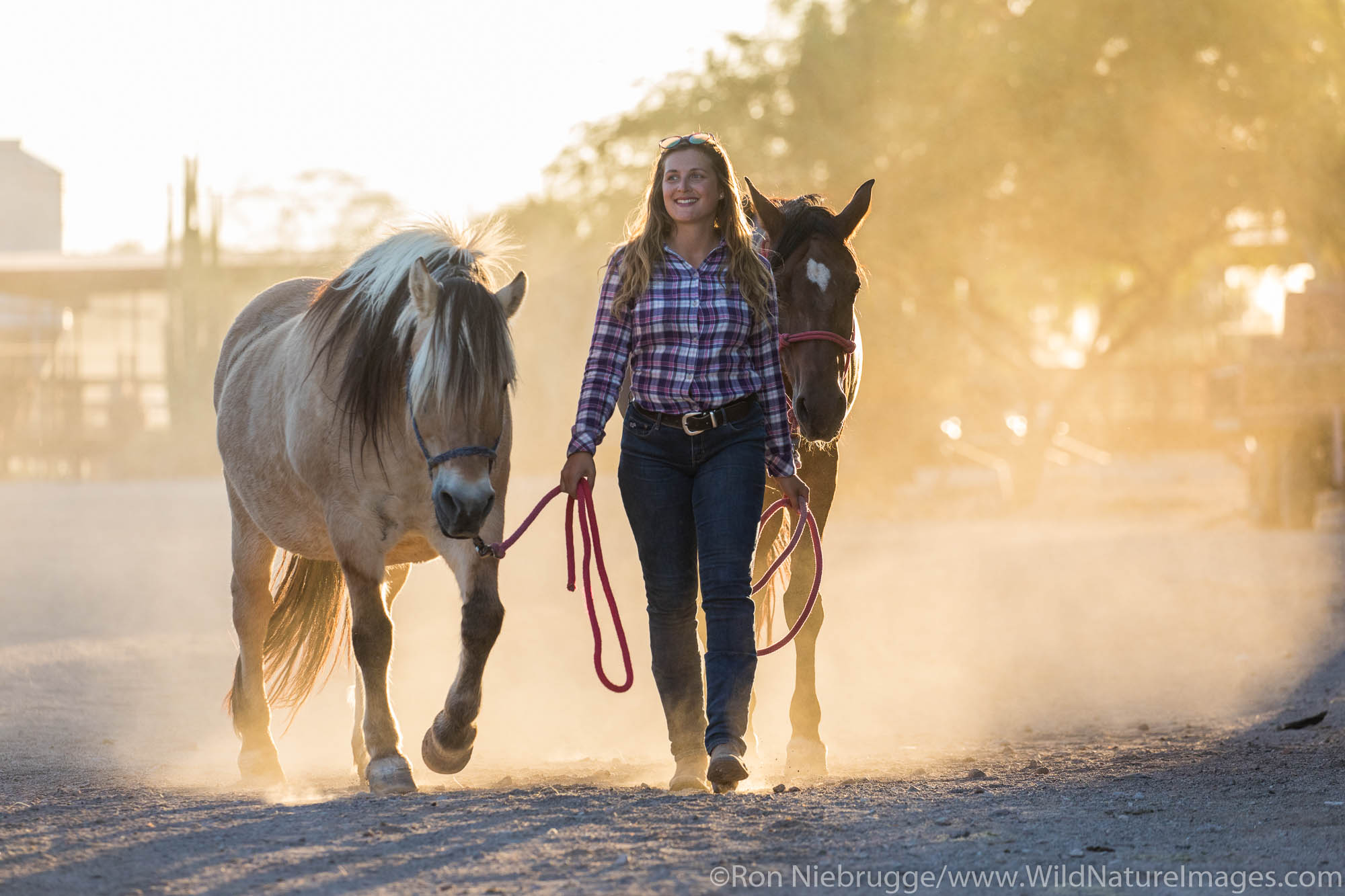 White Stallion Ranch, Tucson, Arizona.
