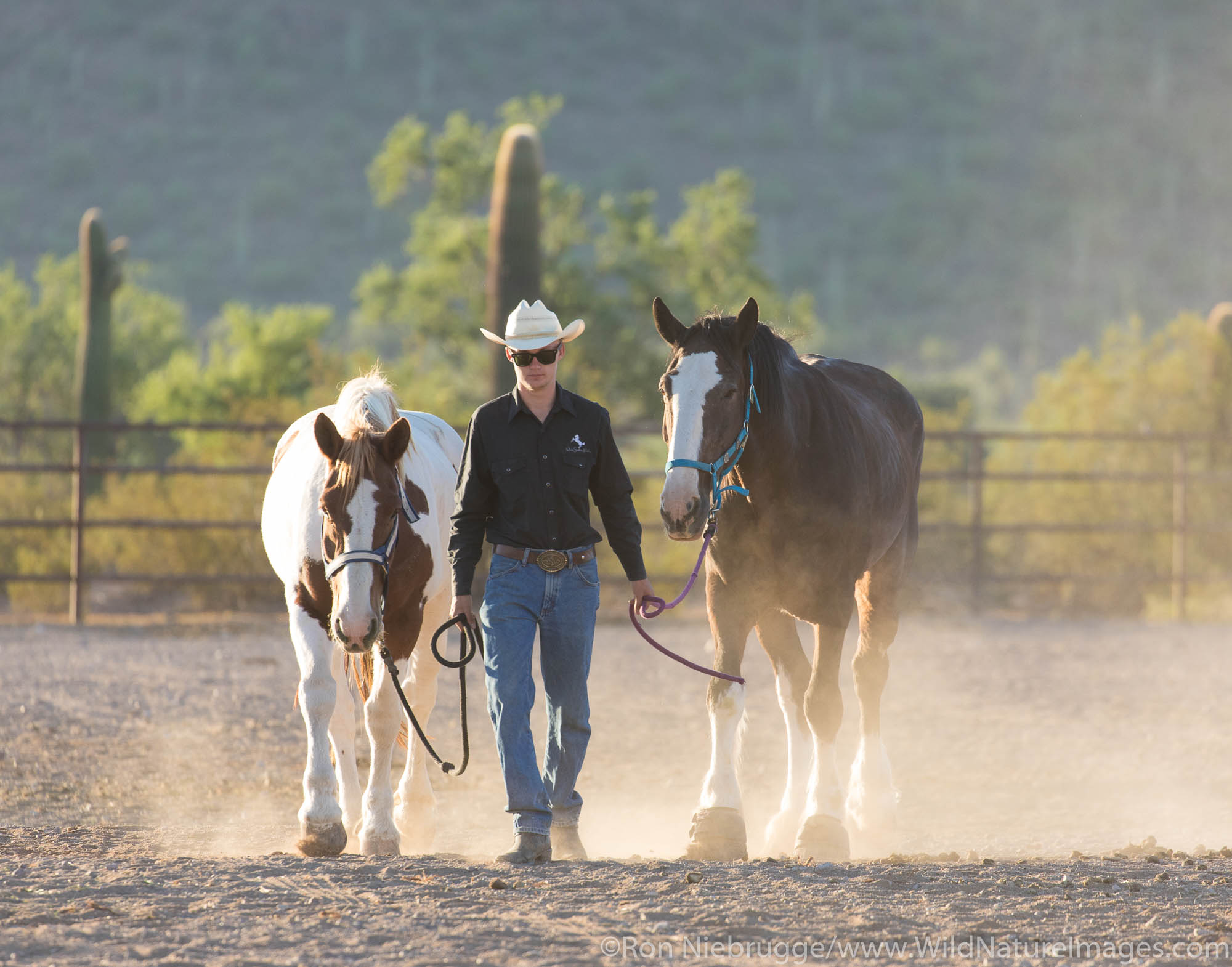 White Stallion Ranch, Tucson, Arizona.