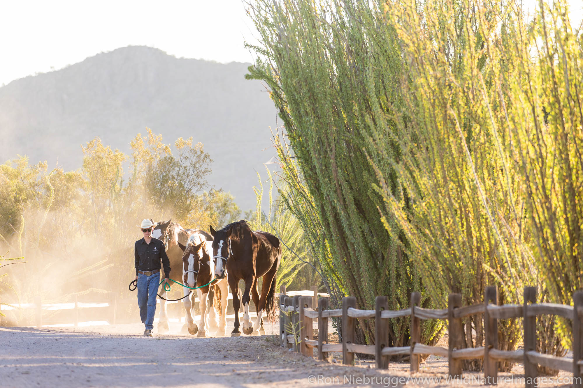 White Stallion Ranch, Tucson, Arizona.