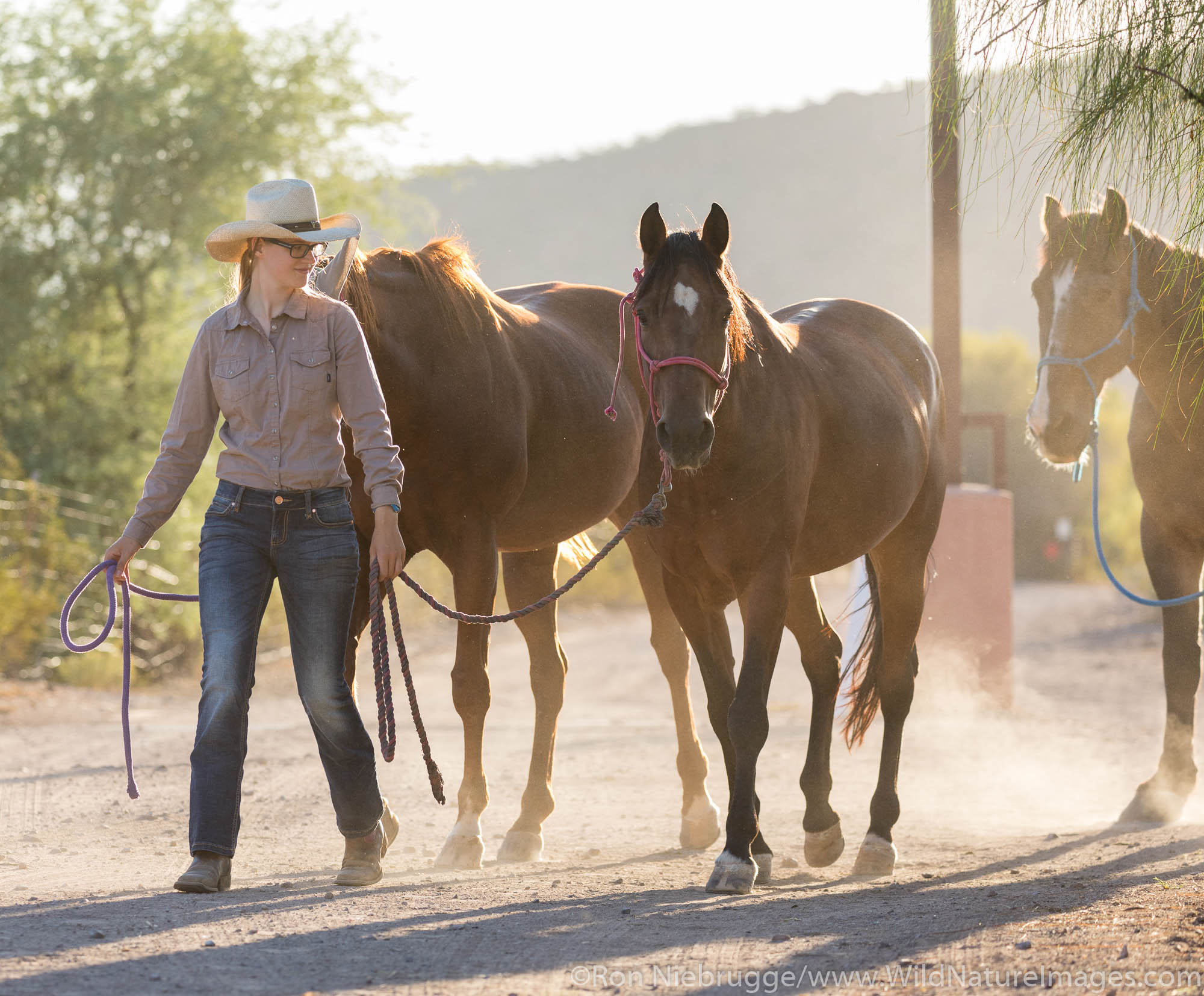 White Stallion Ranch, Tucson, Arizona.