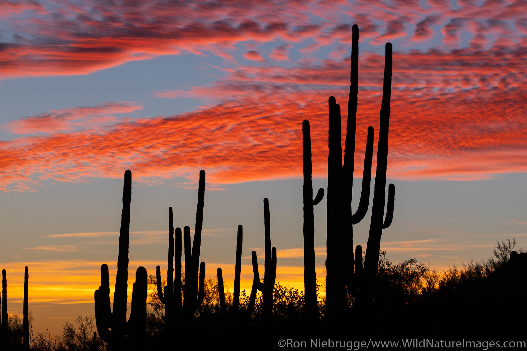 Tortolita Mountains sunset, Marana, near Tucson, Arizona.
