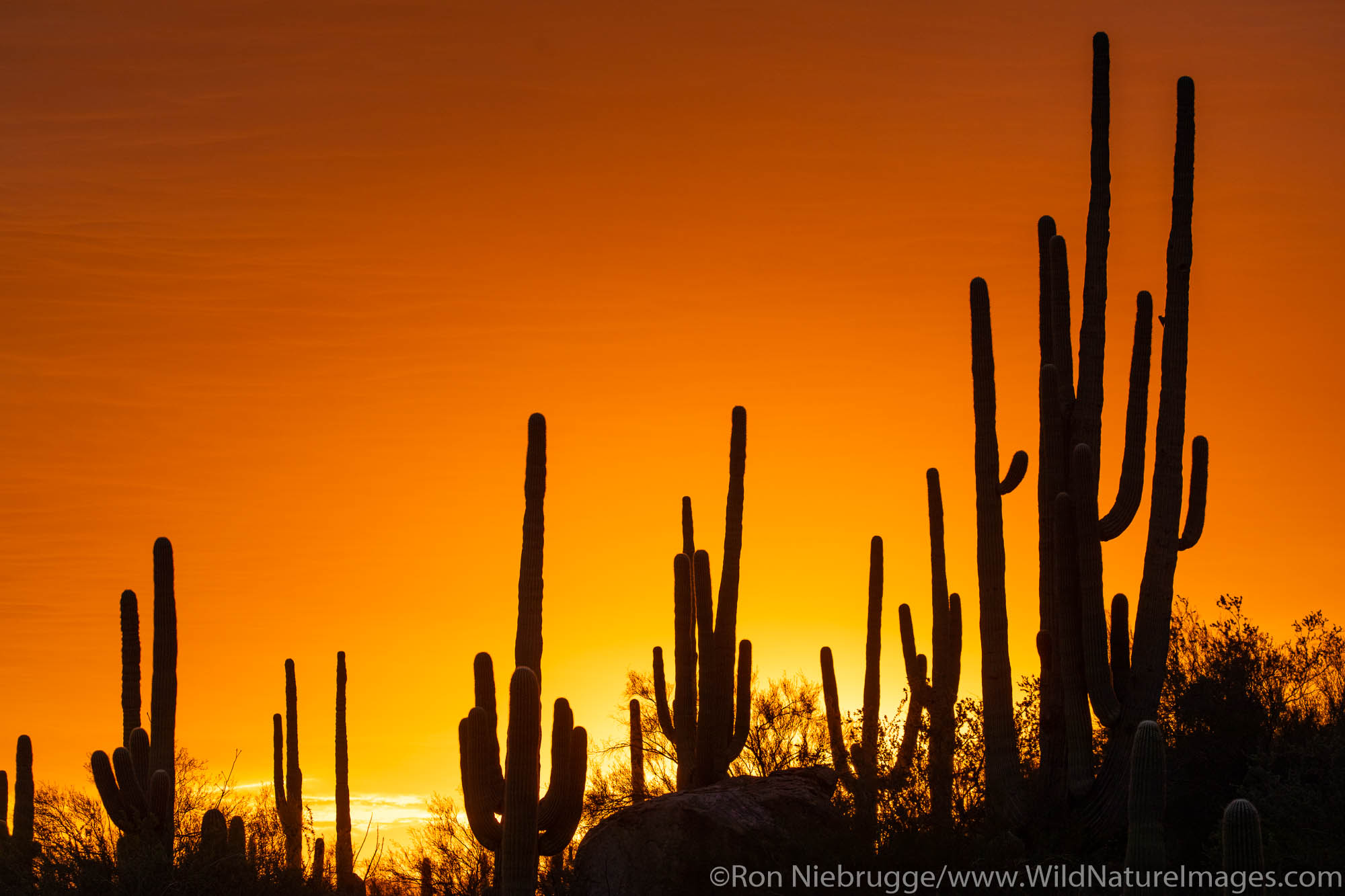 Sunset in the Tortolita Mountains, Marana, near Tucson, Arizona.