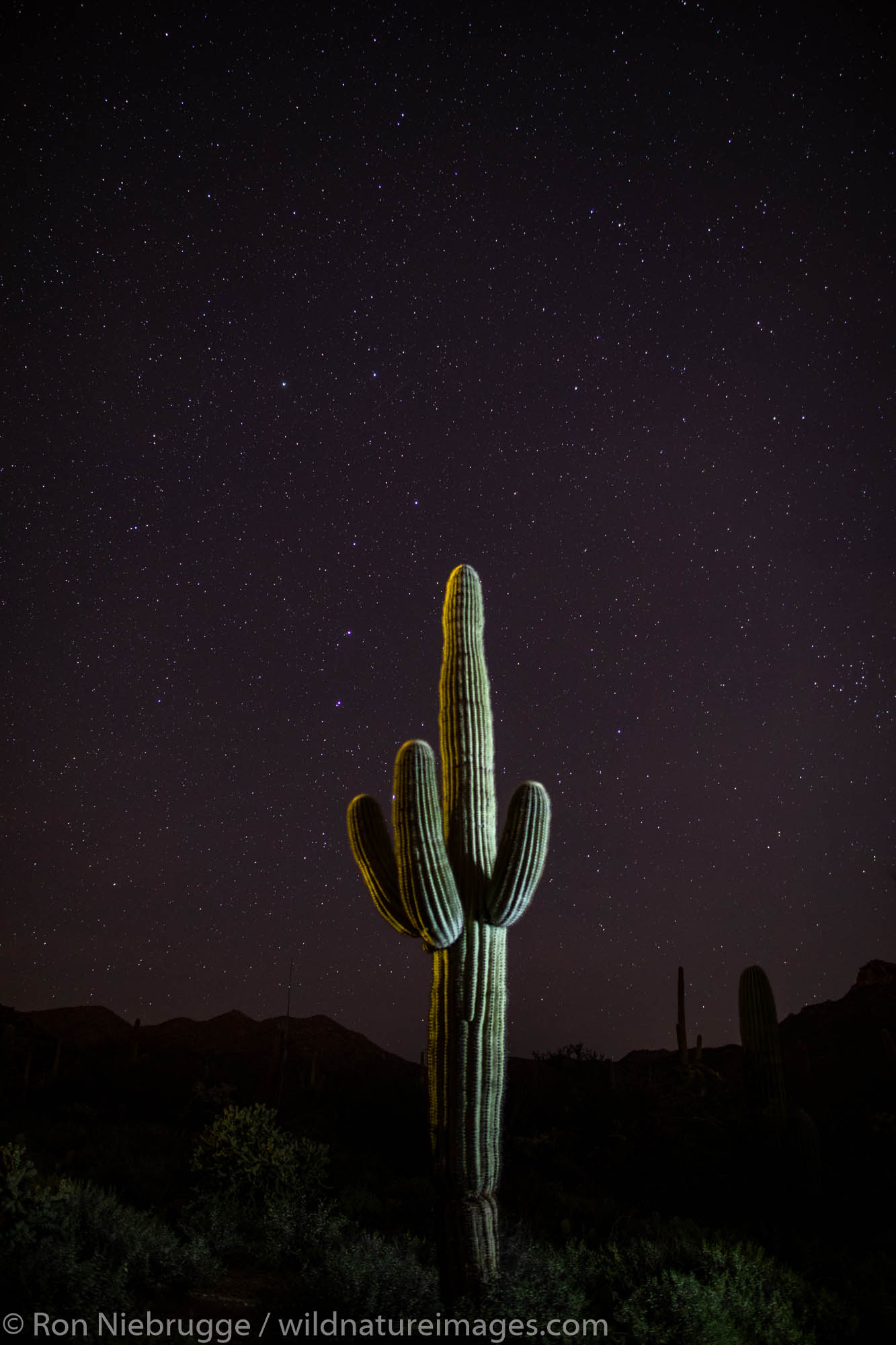 Nighttime in the Tortolita Mountains, Marana, near Tucson, Arizona.