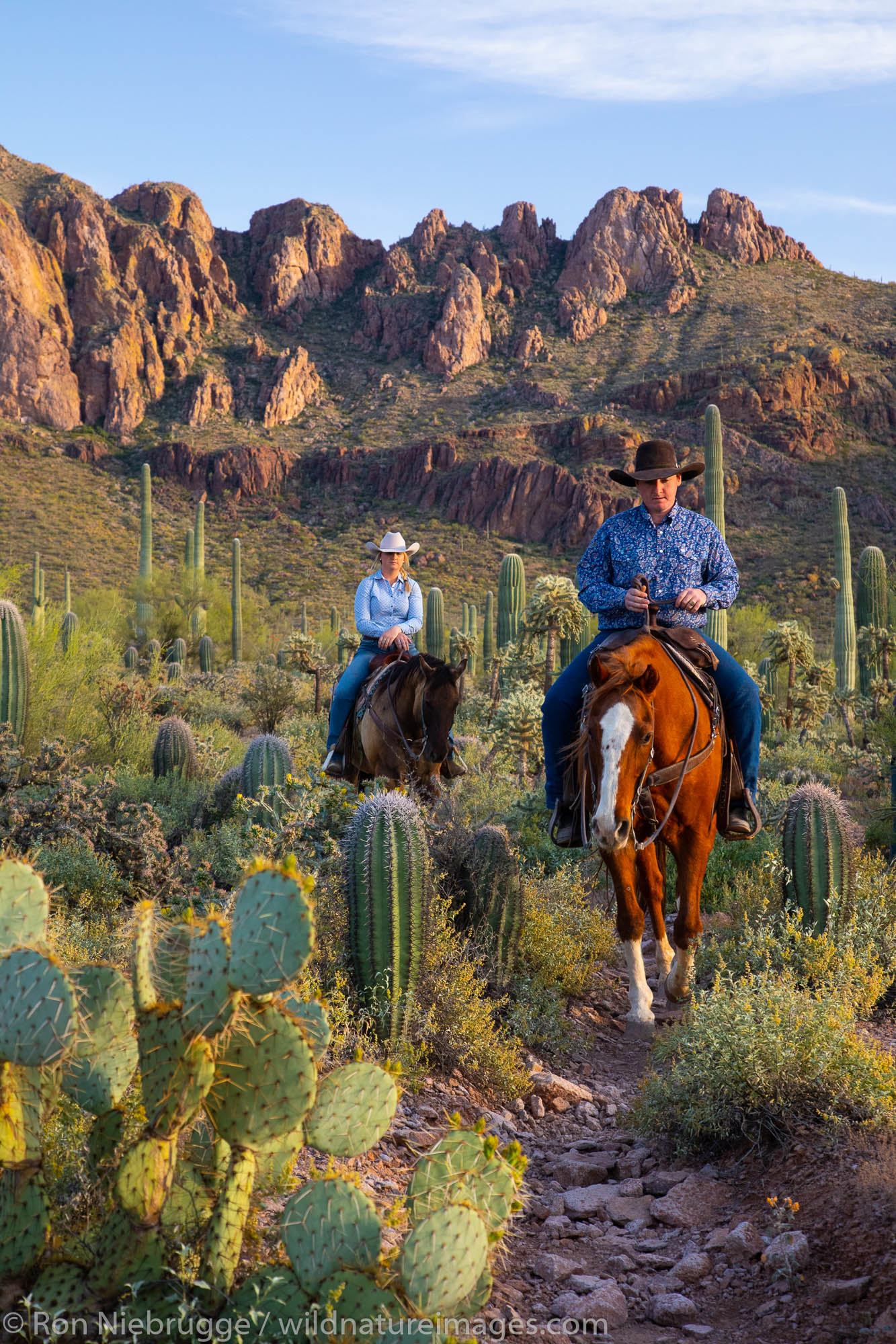 Horseback riding, White Stallion Ranch, Tucson, Arizona.