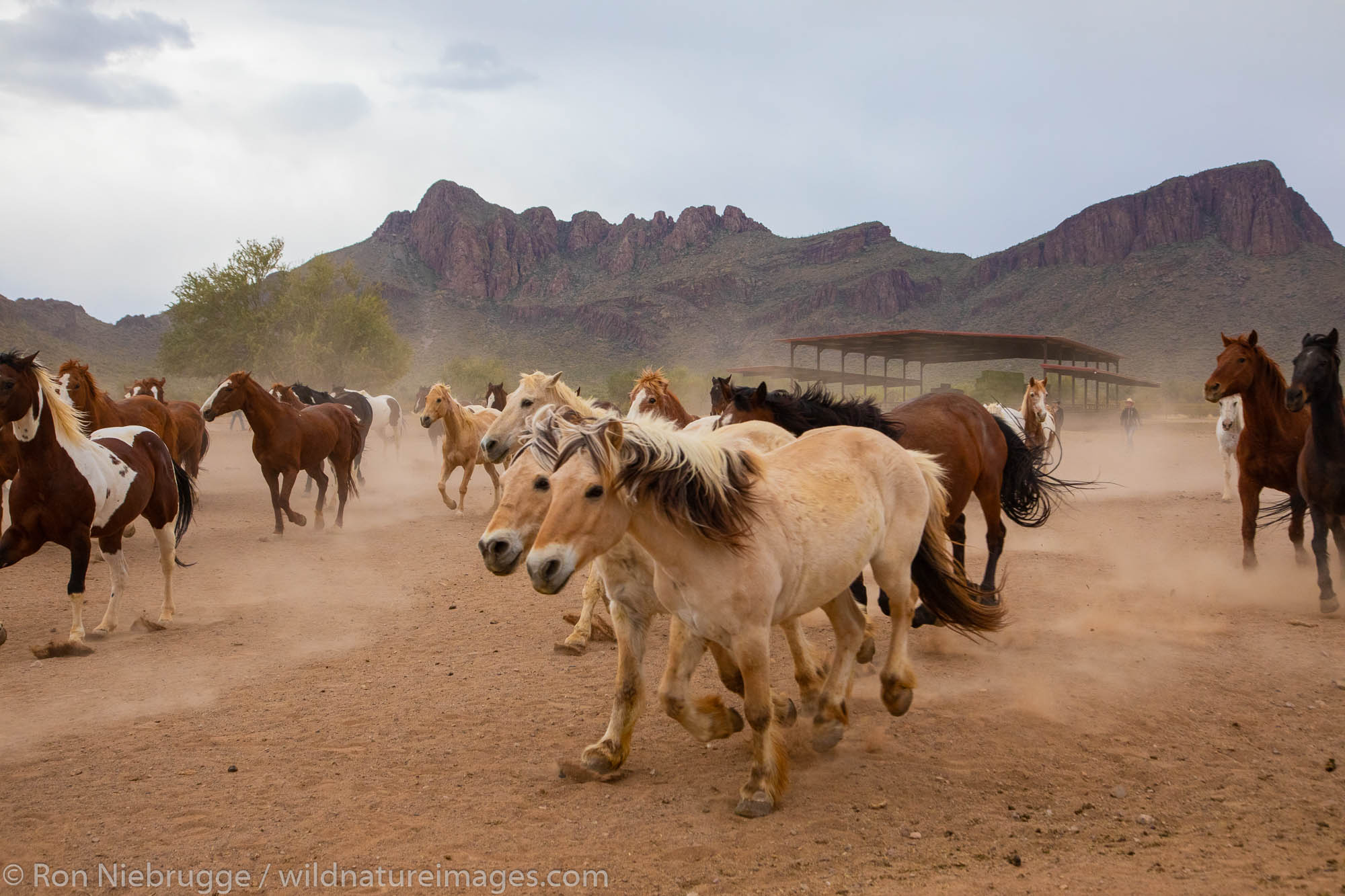 White Stallion Ranch, Tucson, Arizona.