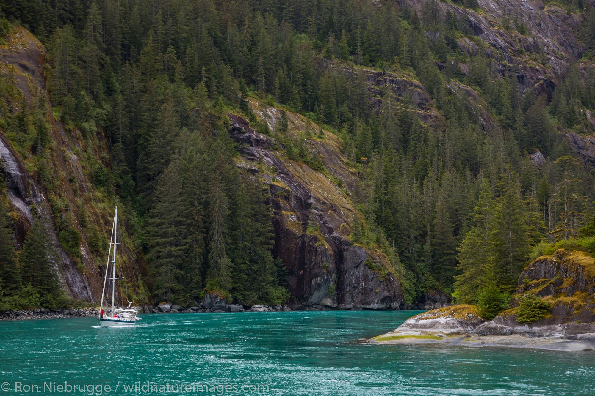 Fords Terror, Tongass National Forest, Alaska.