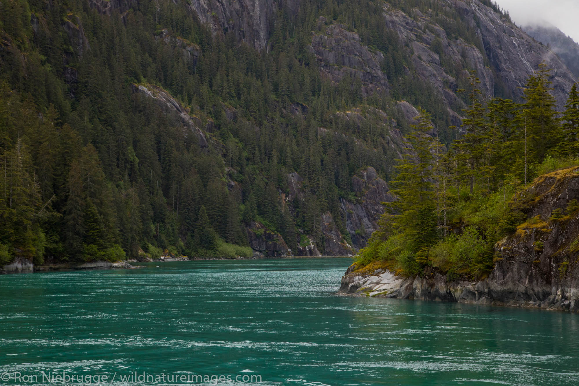 Fords Terror, Tongass National Forest, Alaska.