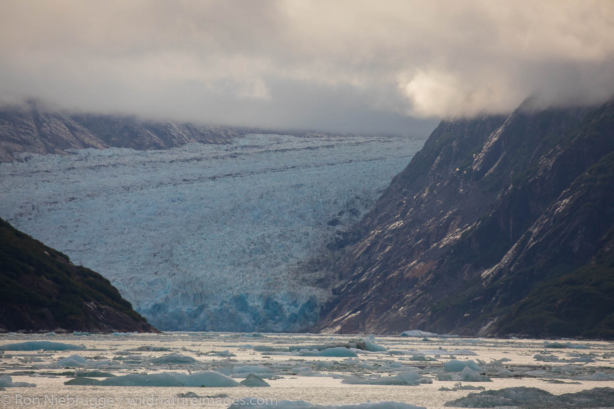Dawes Glacier, Endicott Arm, Tongass National Forest, Alaska.