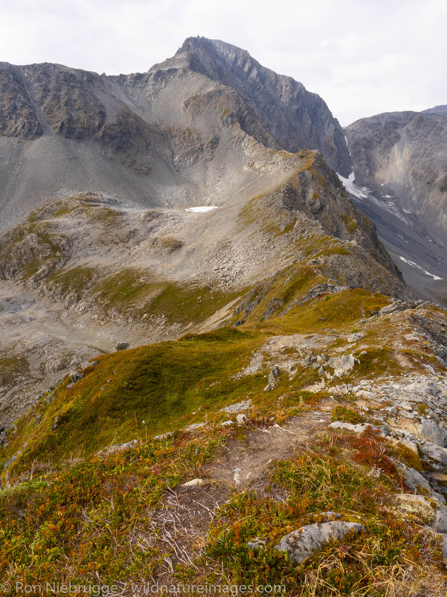 Bear Mountain, above Resurrection Bay, Seward, Alaska.