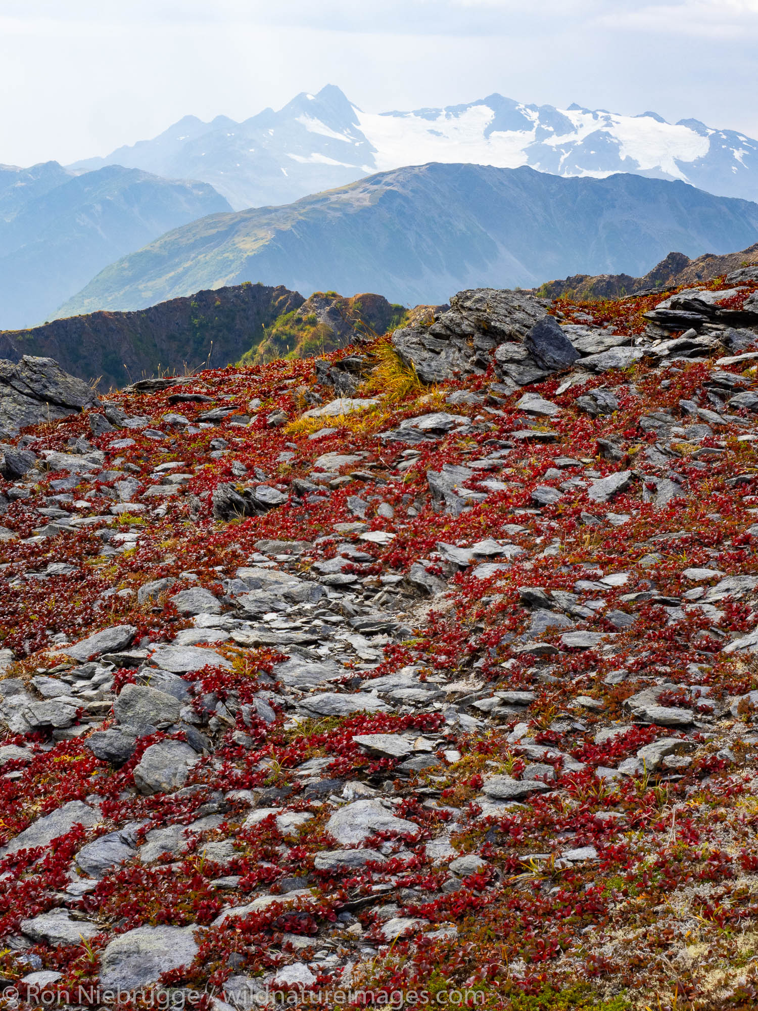 Bear Mountain above Resurrection Bay, Seward, Alaska.