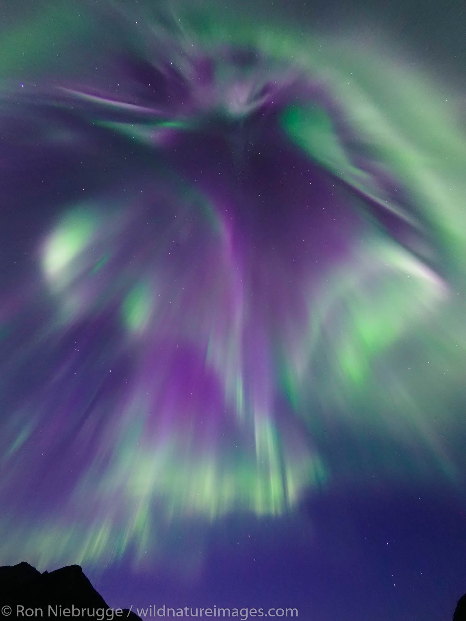 Aurora Borealis over the Brooks Range Alaska.