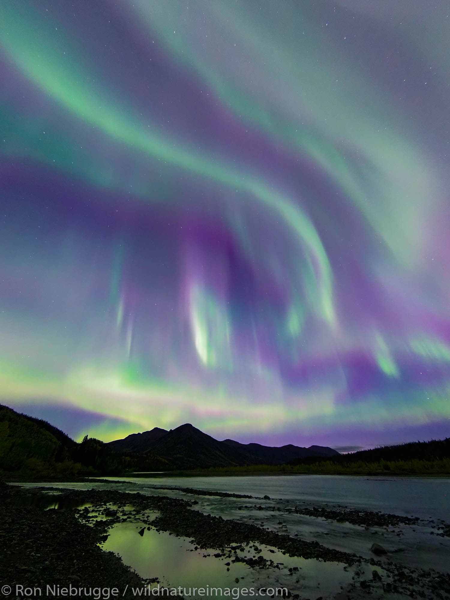 Aurora Borealis over the Brooks Range Alaska.