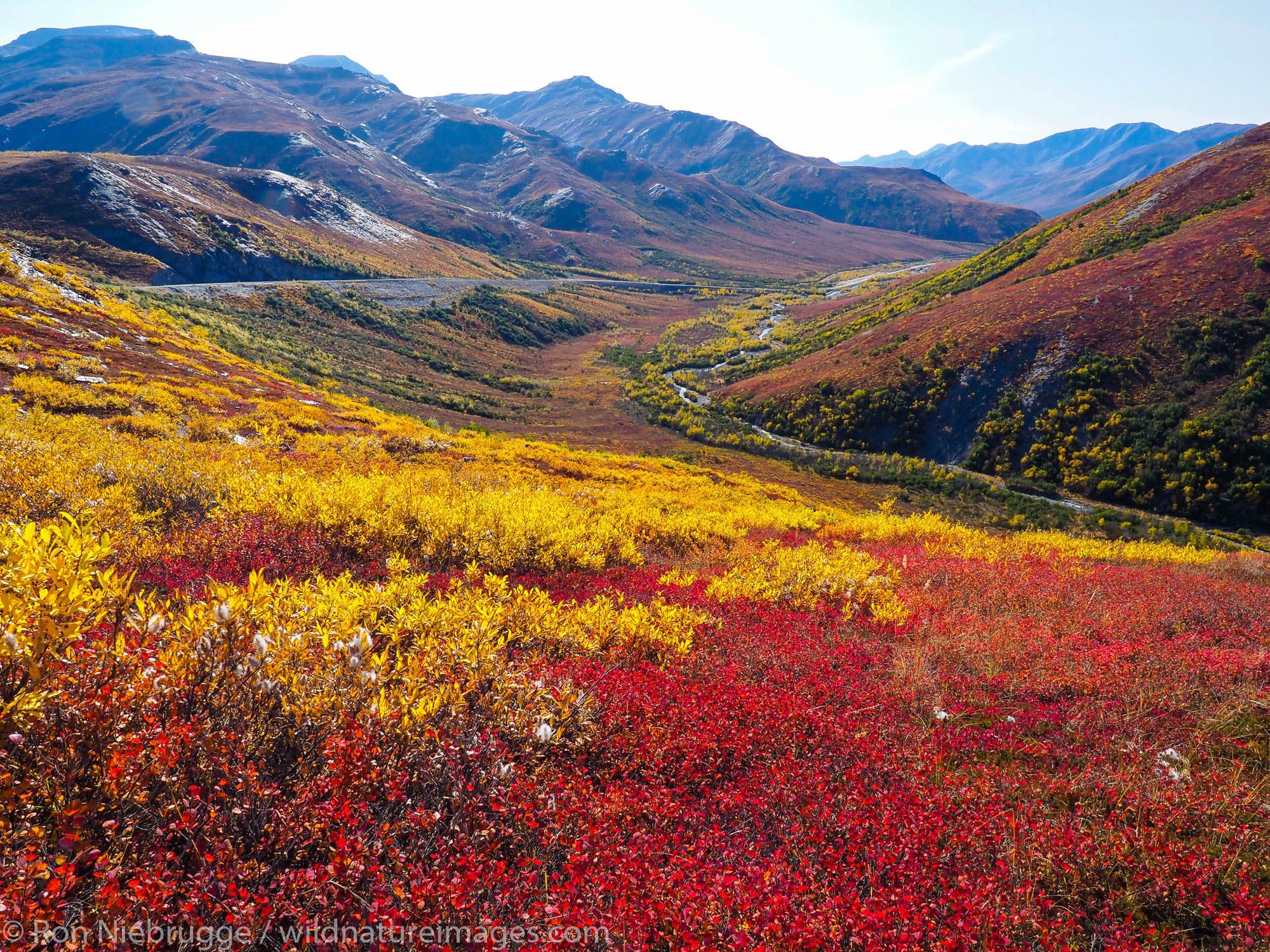 Autumn colors along the Dalton Highway, Brooks Range, Alaska.