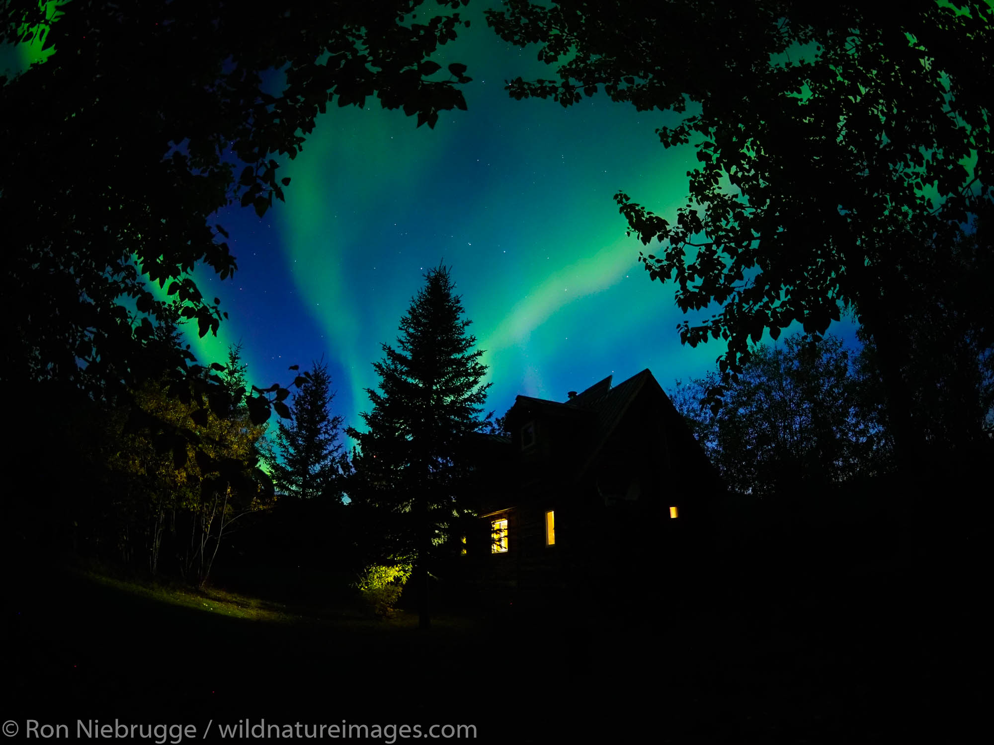 Aurora Borealis over the Brooks Range, Alaska.