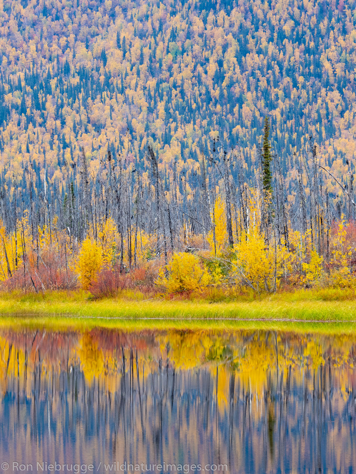 Autumn, Brooks Range, Arctic Alaska.