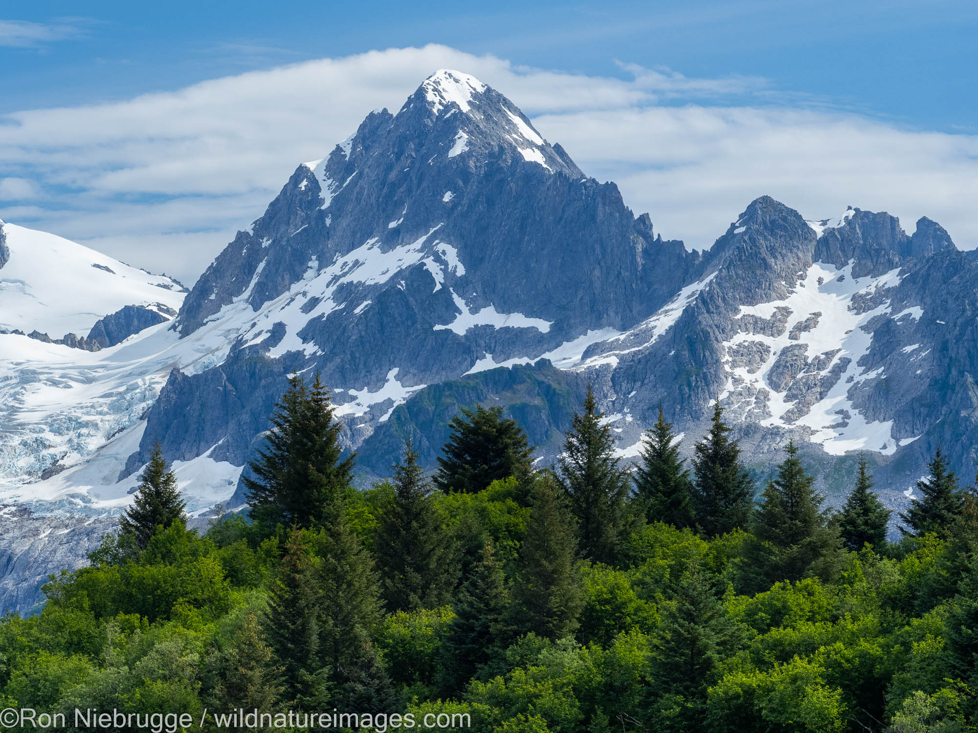 Northwestern Fjord, Kenai Fjords National Park, near Seward, Alaska.
