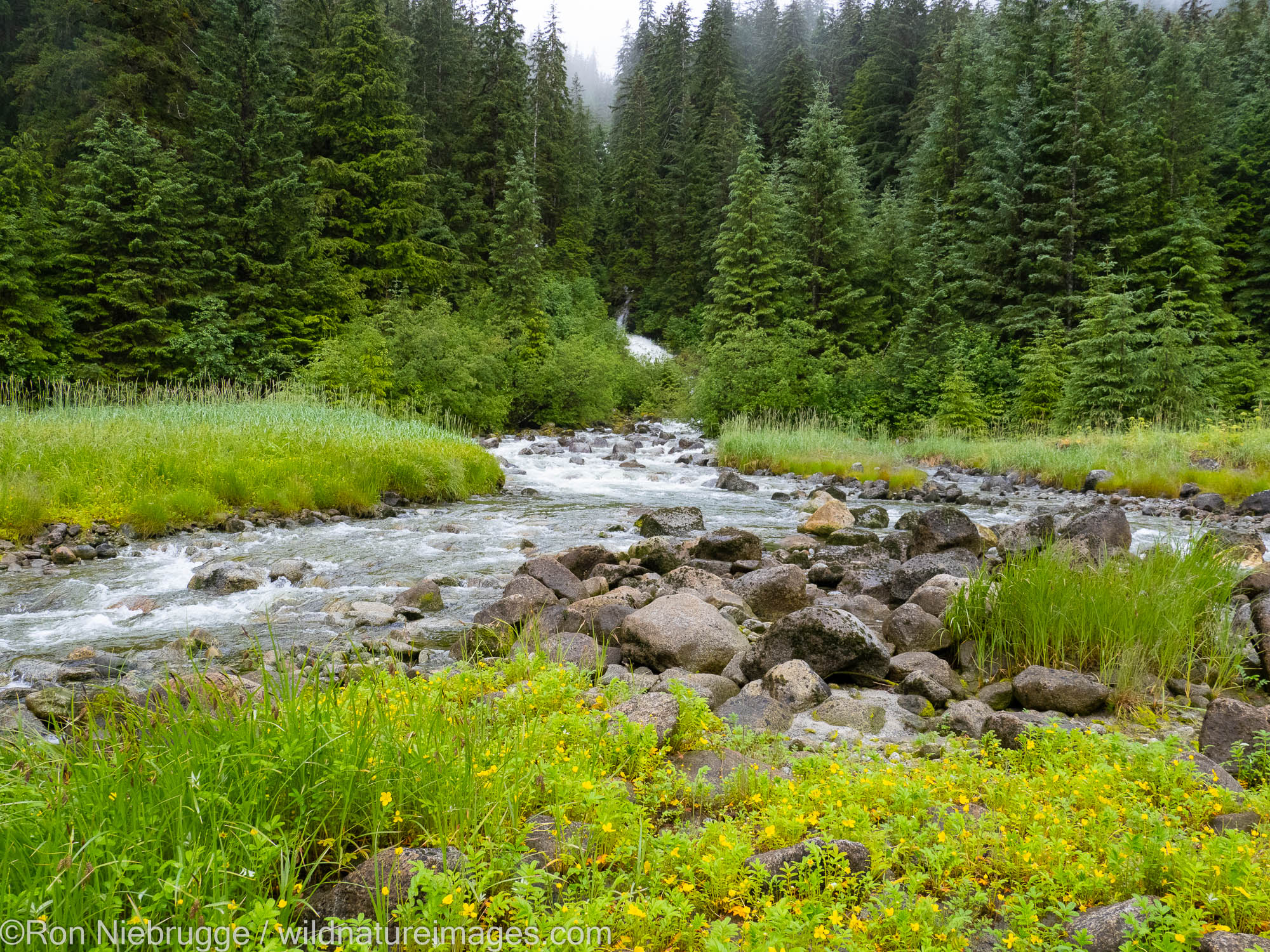 Ford's Terror, Tongass National Forest, Alaska.