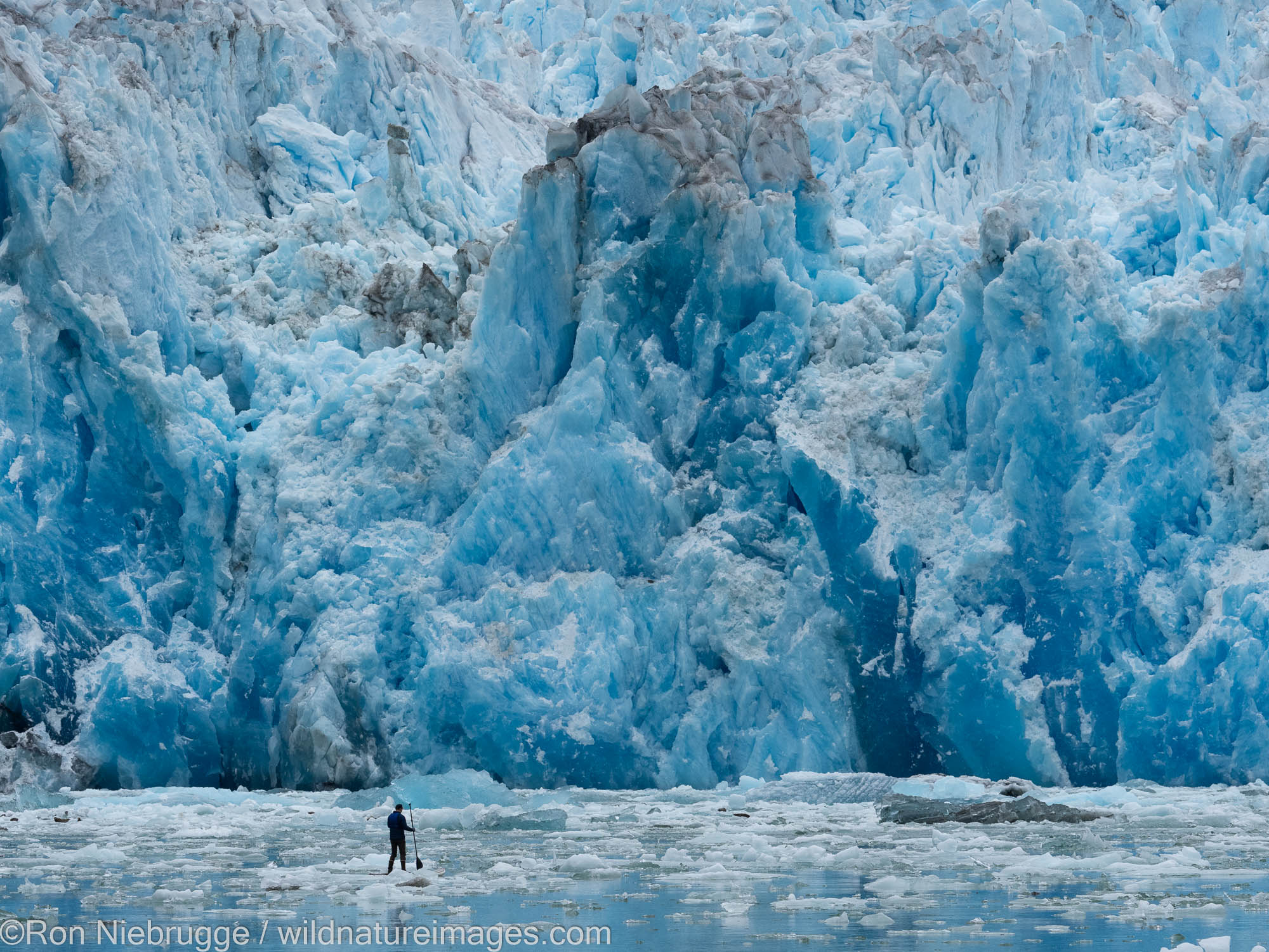 Stand up Paddle Board, Sawyer Glacier in Tracy Arm, Tongass National Forest, Alaska.