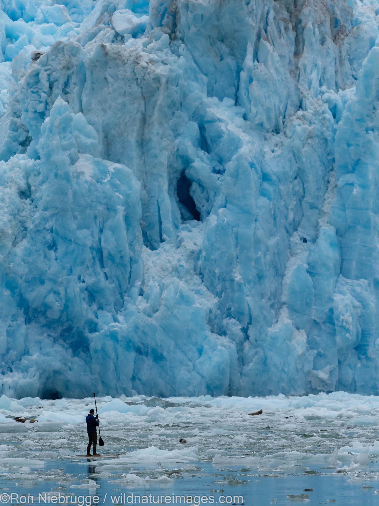 Stand up Paddle Board, Sawyer Glacier in Tracy Arm, Tongass National Forest, Alaska.