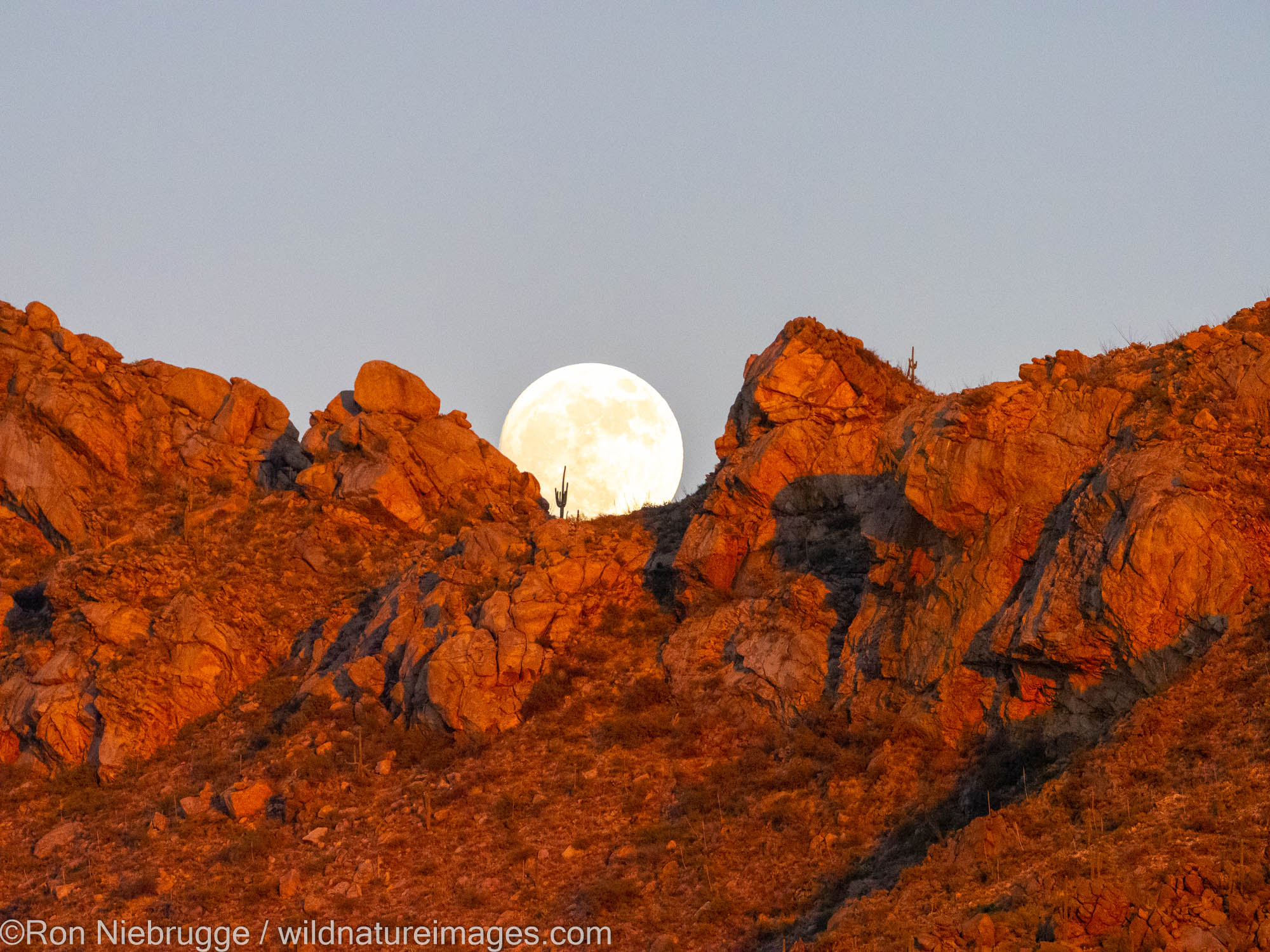 Full Moon, Tortolita Mountains, Marana, near Tucson, Arizona.