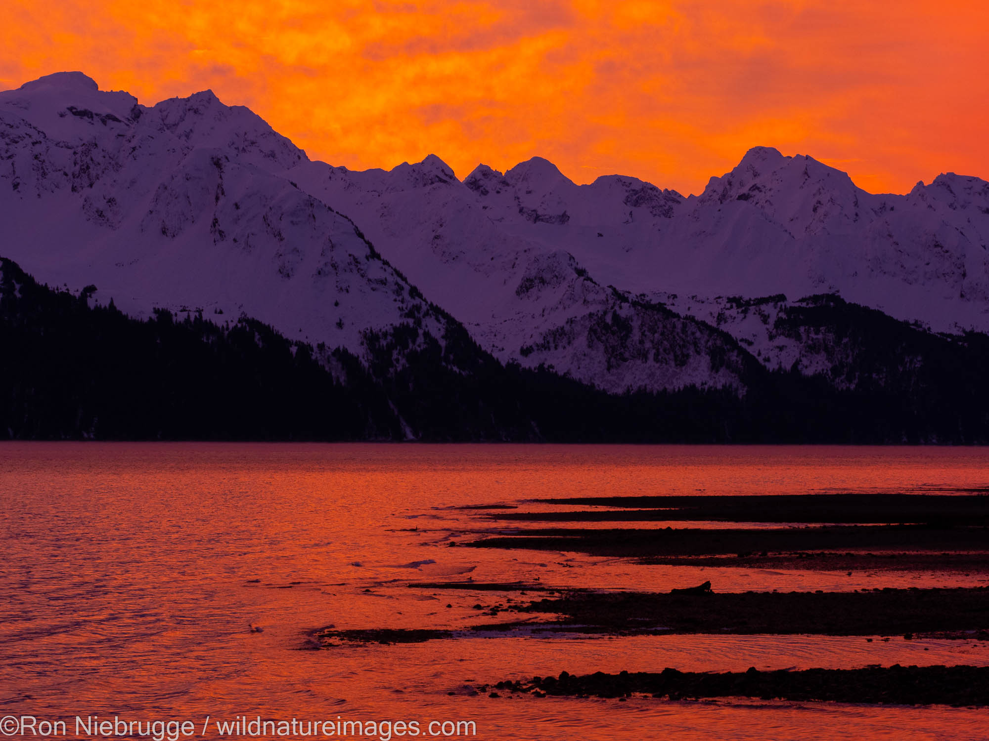 Sunrise on Resurrection Bay, Seward, Alaska.