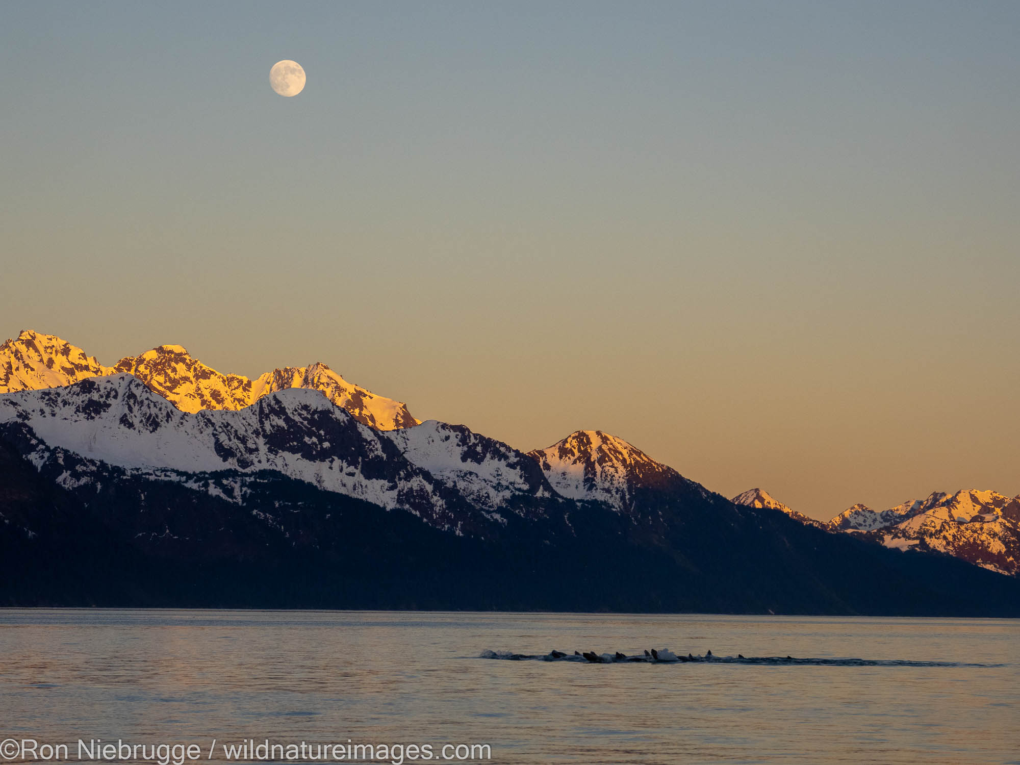 Full Moon on Resurrection Bay, Seward, Alaska.