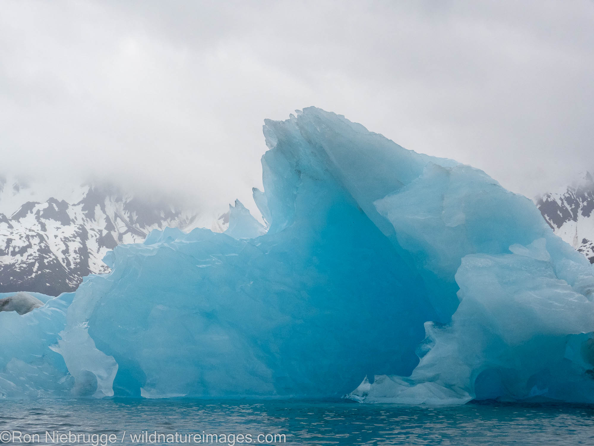 Bear Glacier Lagoon, Kenai Fjords National Park, near Seward, Alaska.