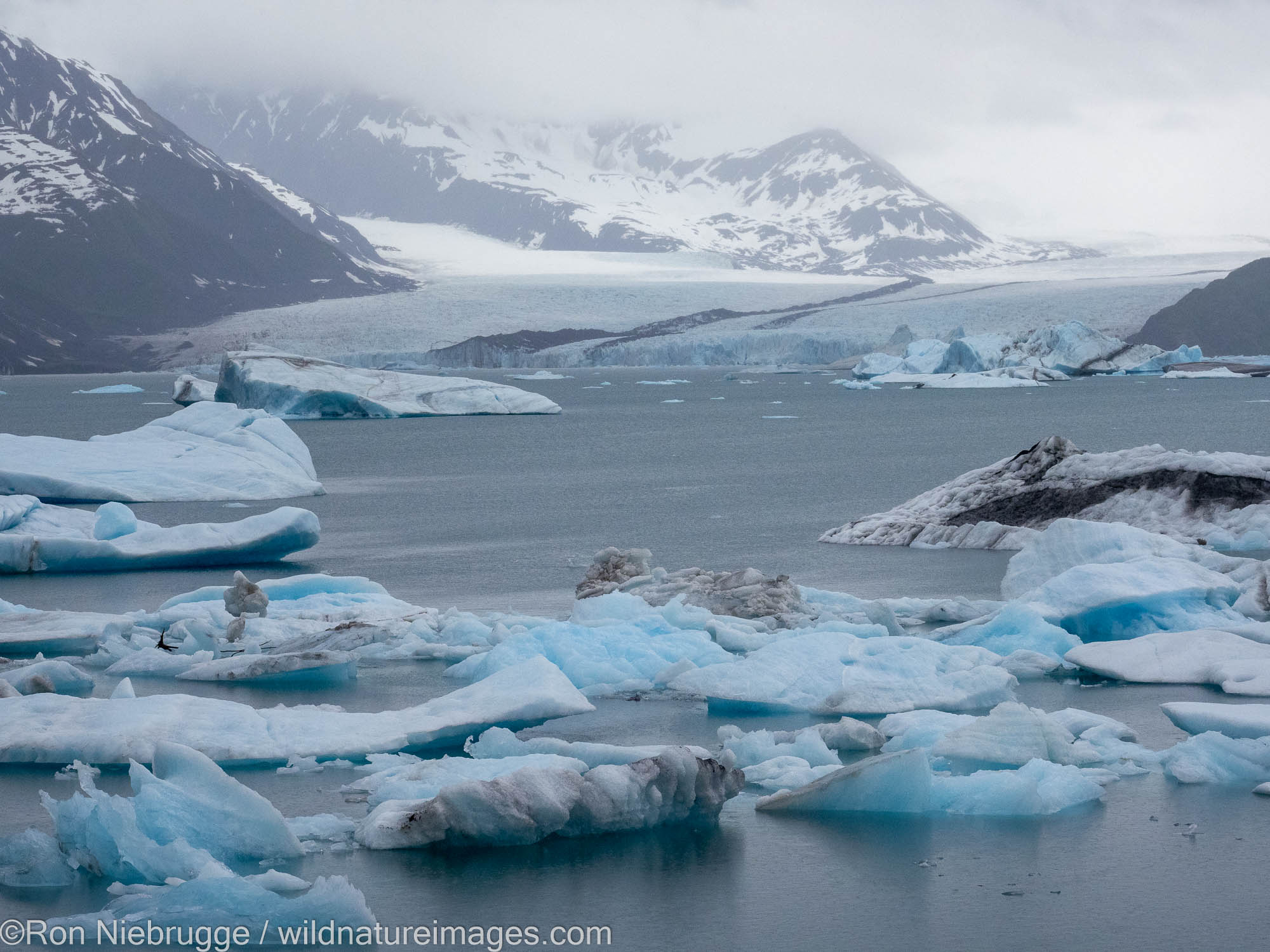 This was our vantage point for our hot chocolate and chocolate chip cookies.  :)  Bear Glacier Lagoon, Kenai Fjords National...