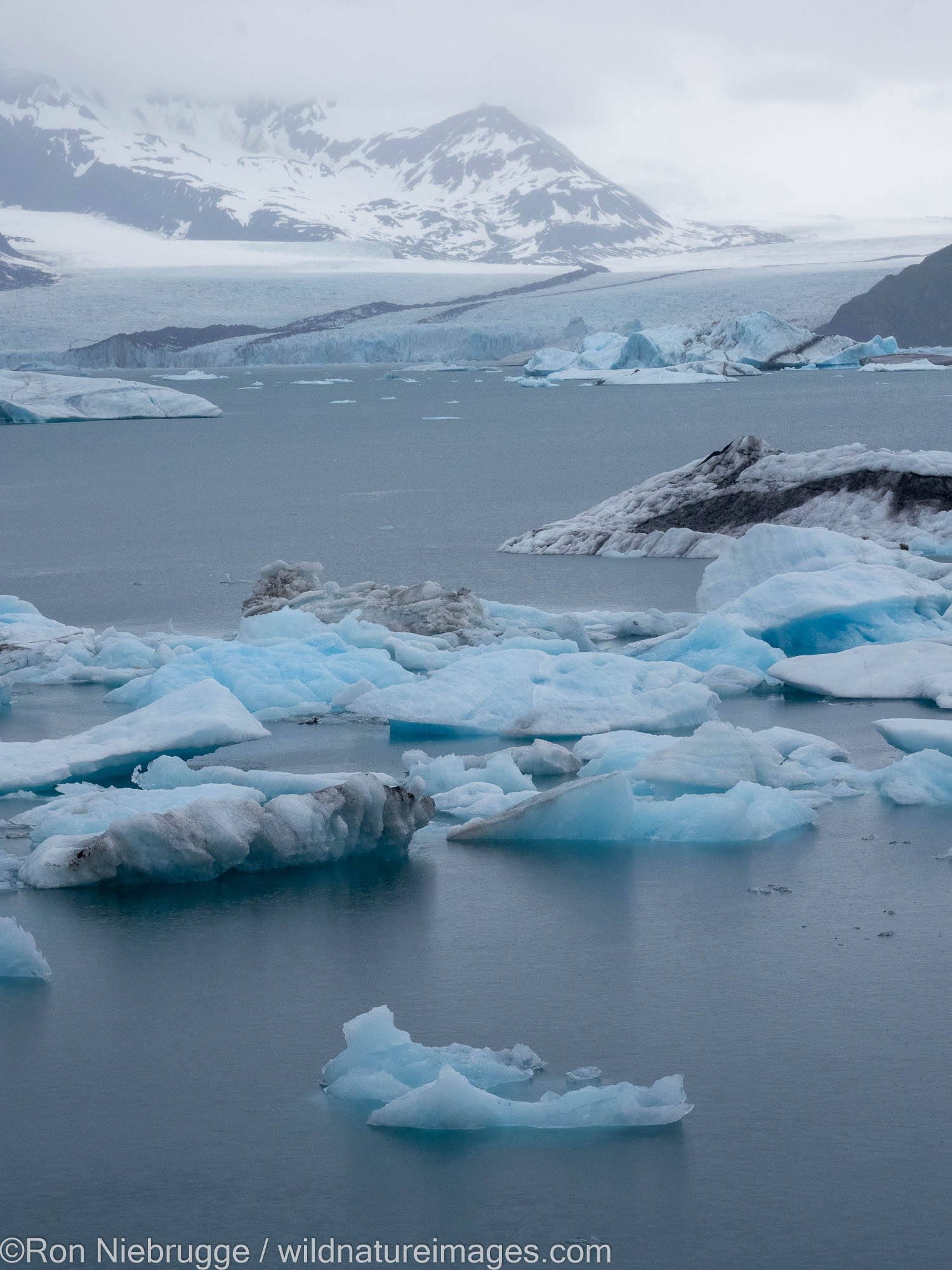 Bear Glacier Lagoon, Kenai Fjords National Park, near Seward, Alaska.