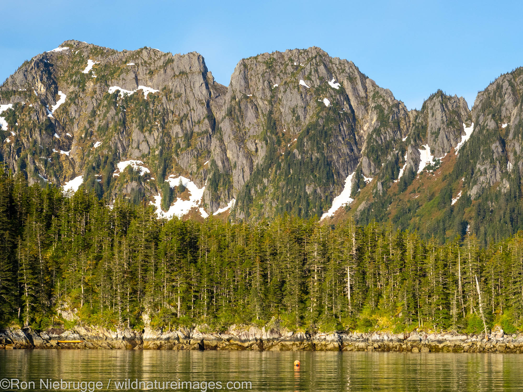 Verdant Cove, Kenai Fjords National Park, near Seward, Alaska.