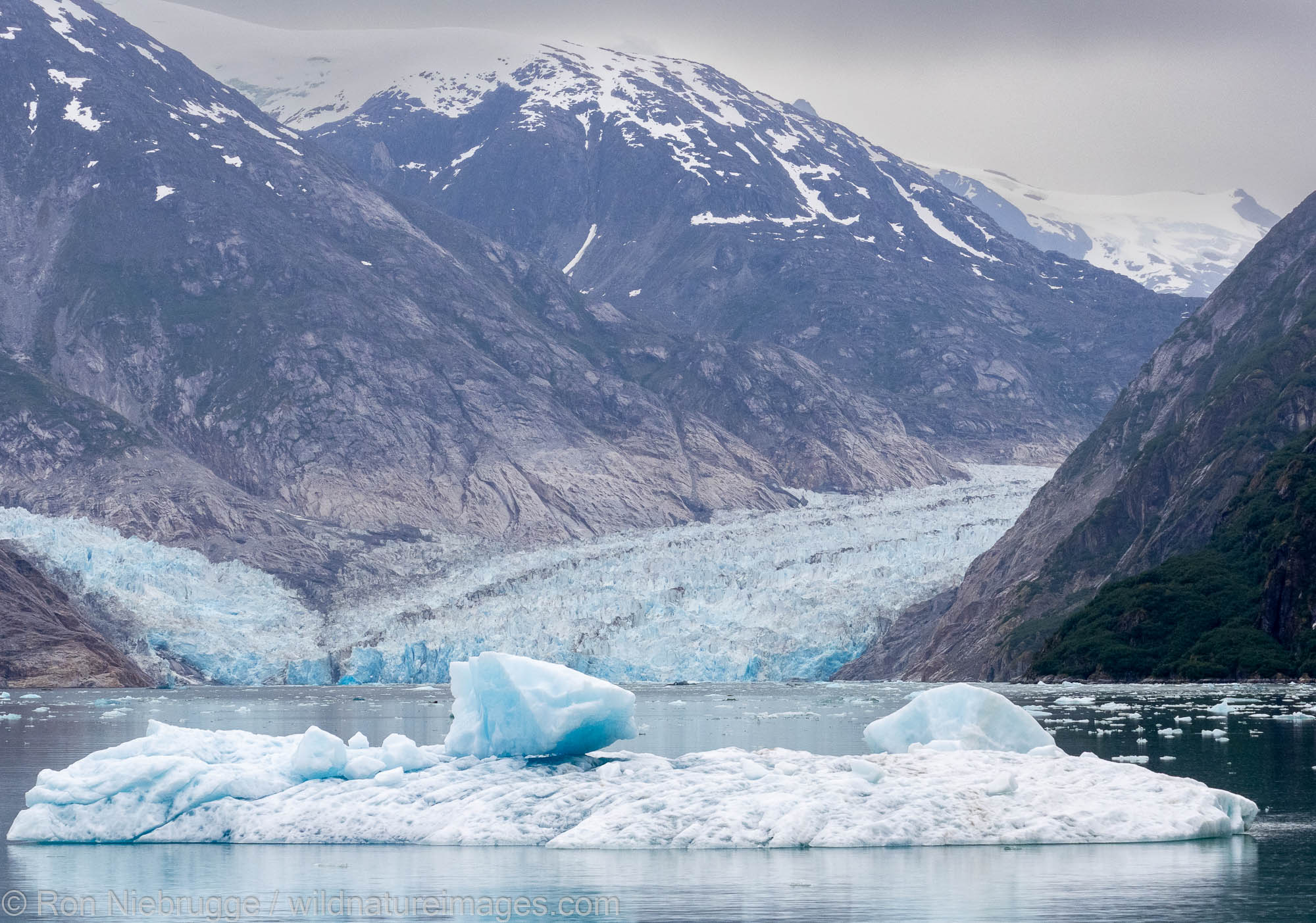 Dawes Glacier, Endicott Arm, Tongass National Forest, Alaska.