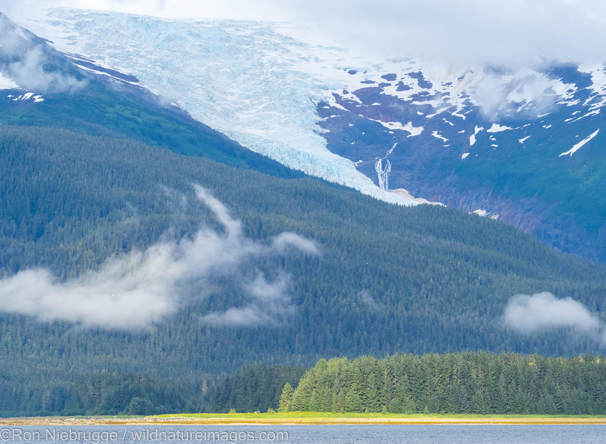 Sumdum Glacier, at the entrance to Endicott and Tracy Arms, Tongass National Forest, Alaska.