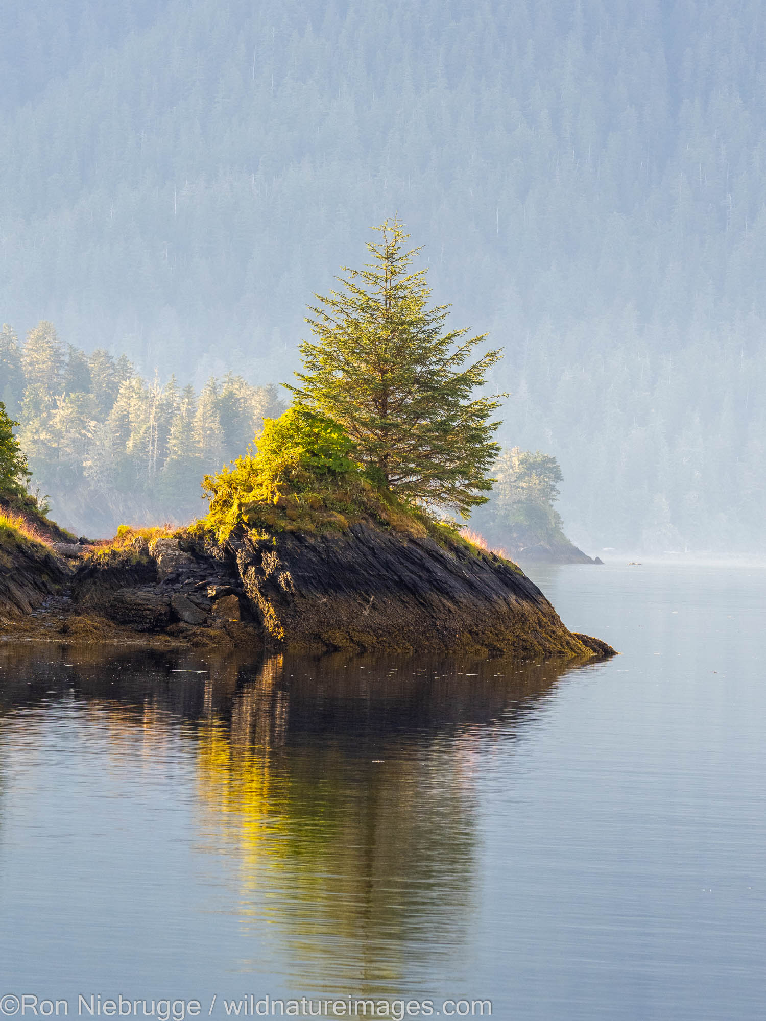Tongass National Forest Windham Bay, Tongass National Forest, Alaska.