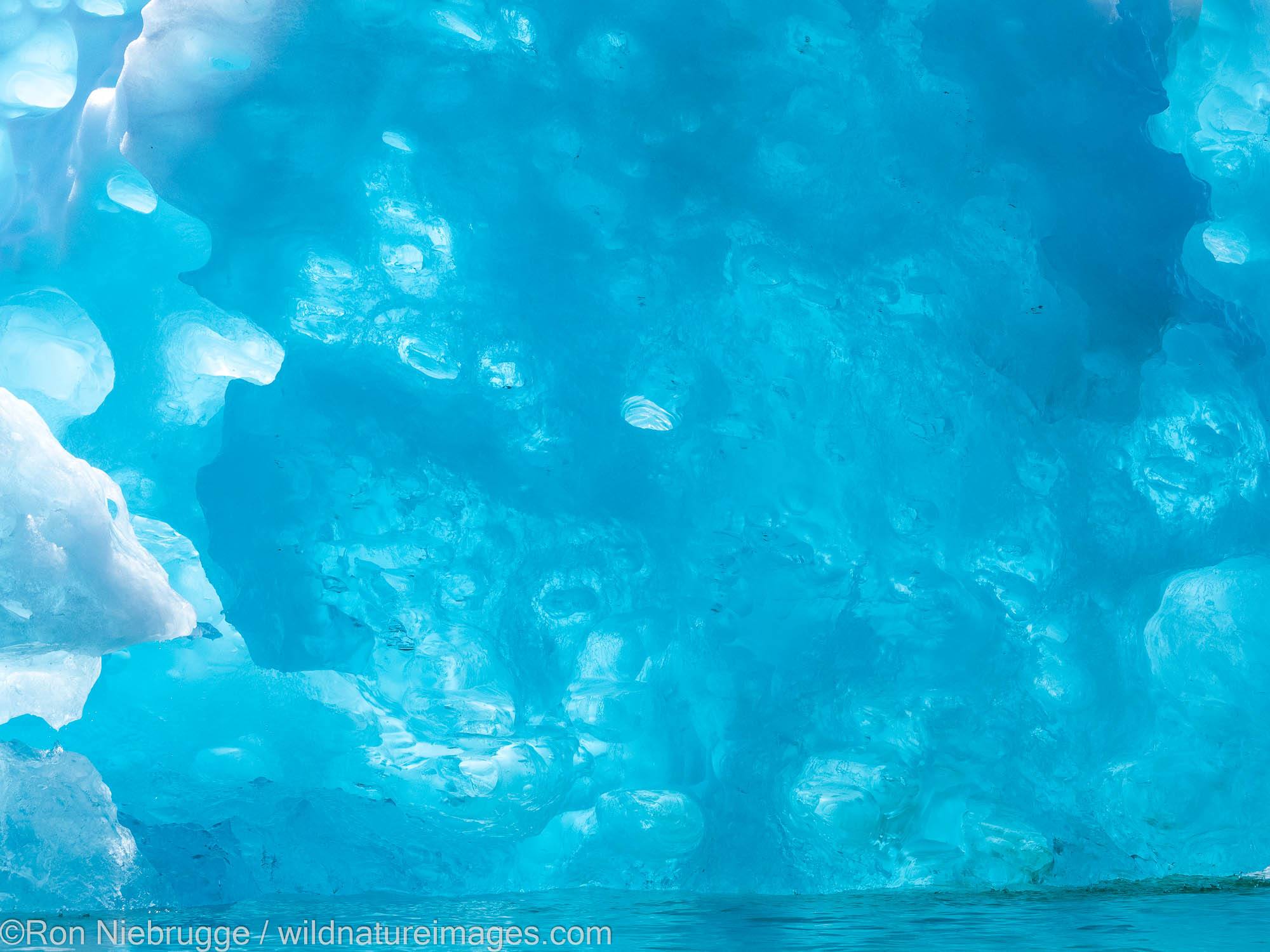 LeConte Glacier, Tongass National Forest, Alaska.