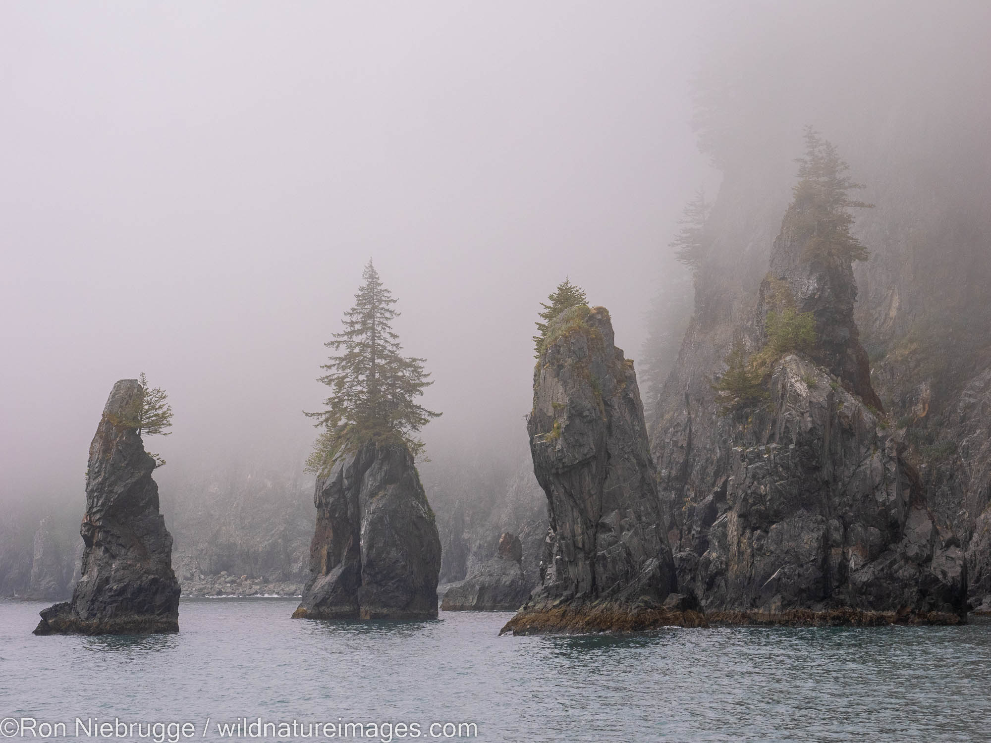 Spier Cove, not far from Agnus Cove, Kenai Fjords National Park, near Seward, Alaska.