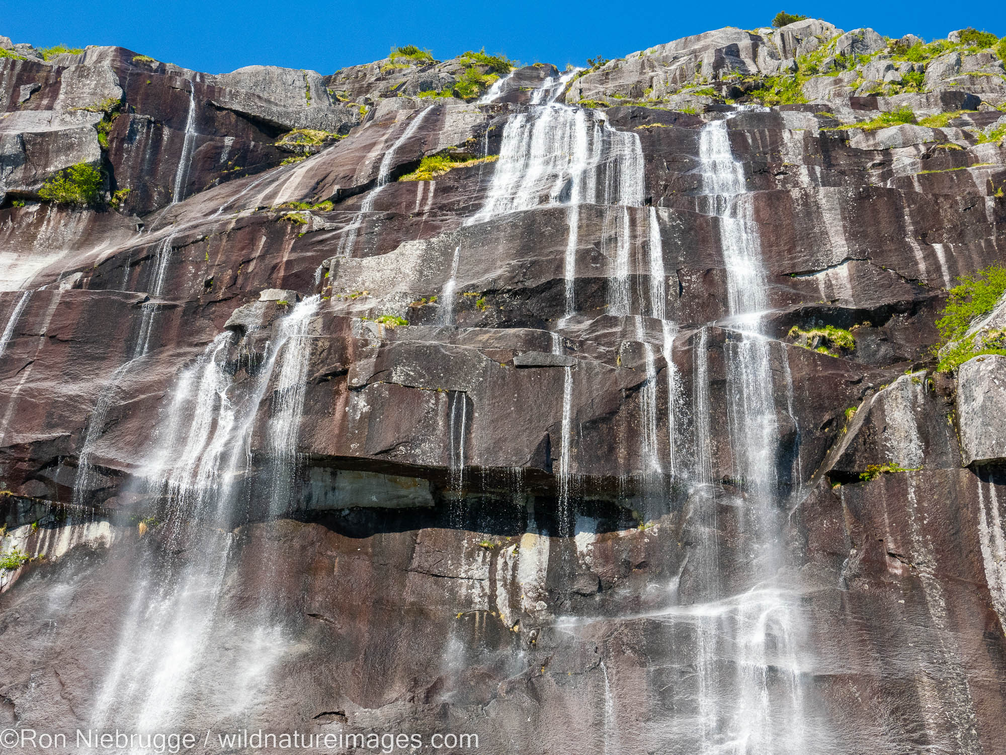 Cataract Cove, Kenai Fjords National Park, near Seward, Alaska.