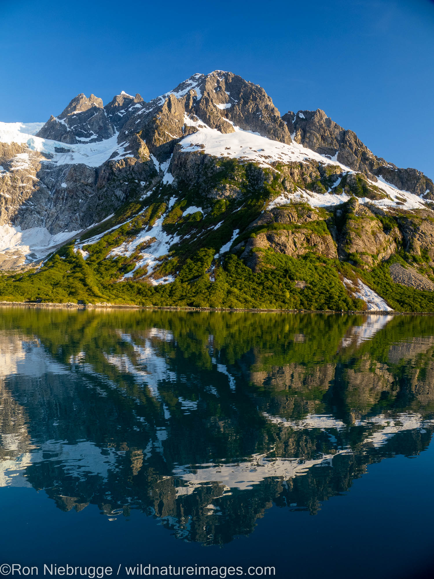 Sunrise in Northwestern Fjord, Kenai Fjords National Park, near Seward, Alaska.  While most visiors are back in Seward in a hotel...