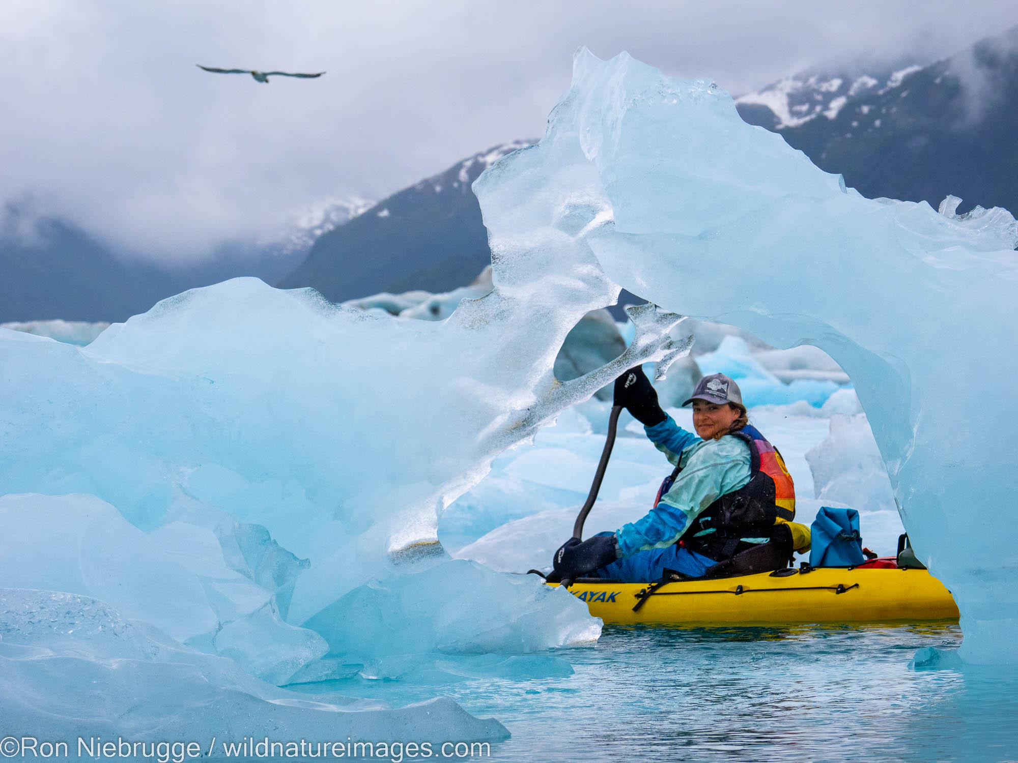 Bear Glacier, Kenai Fjords National Park, near Seward, Alaska.