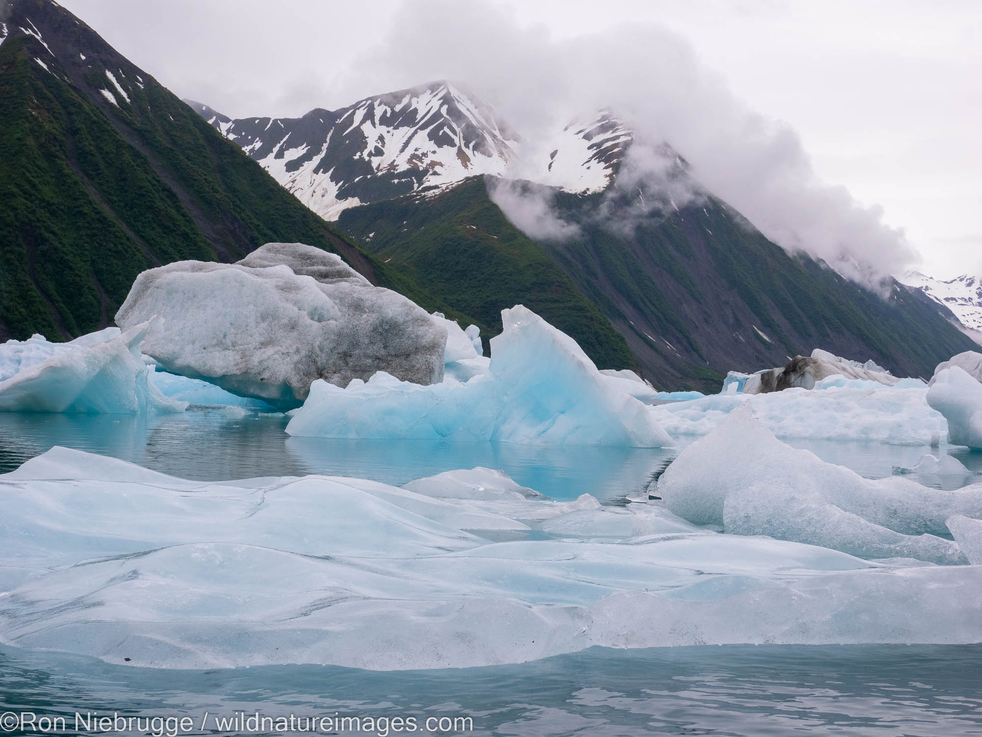 Bear Glacier, Kenai Fjords National Park, near Seward, Alaska.