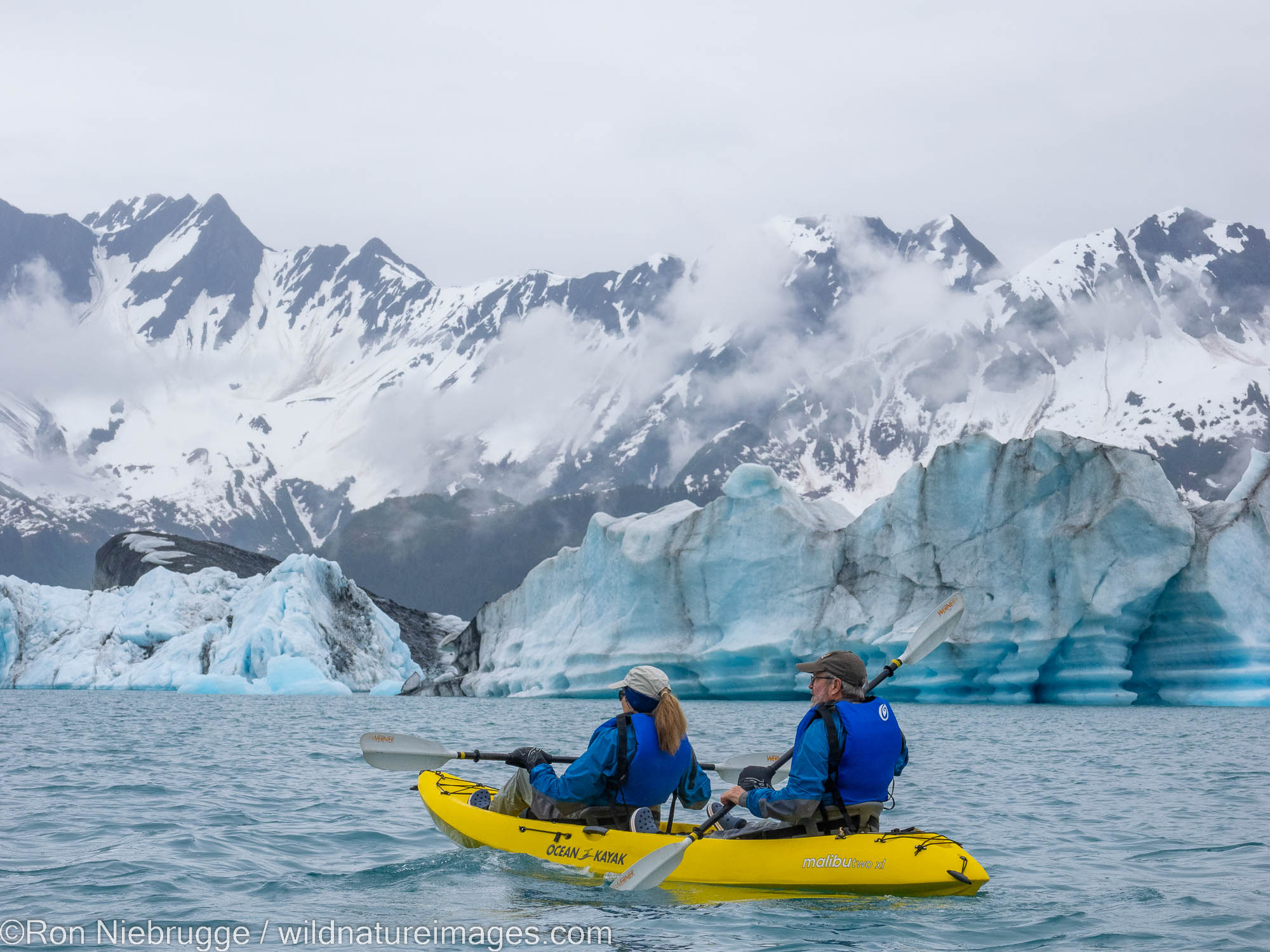 Kayaking Bear Glacier lagoon, Kenai Fjords National Park, near Seward, Alaska.