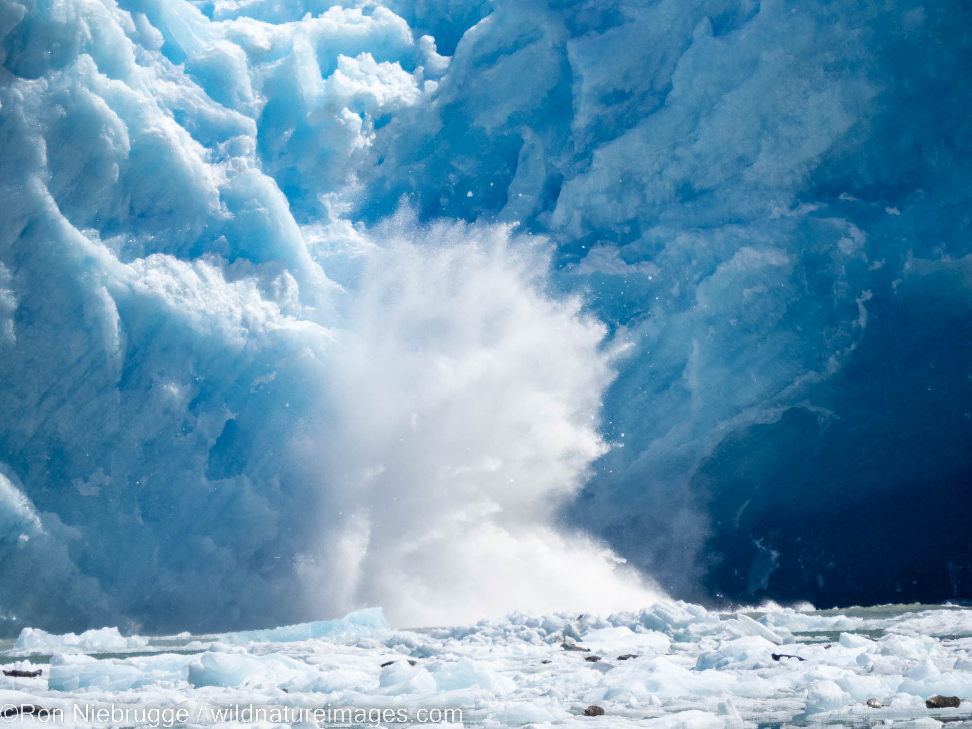 Calving ice, Sawyer Glacier, Tracy Arm, Tongass National Forest, Alaska.