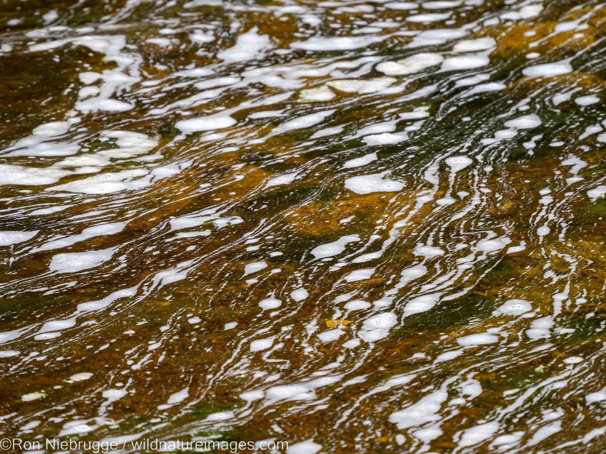 Water patterns, Tongass National Forest, Alaska.