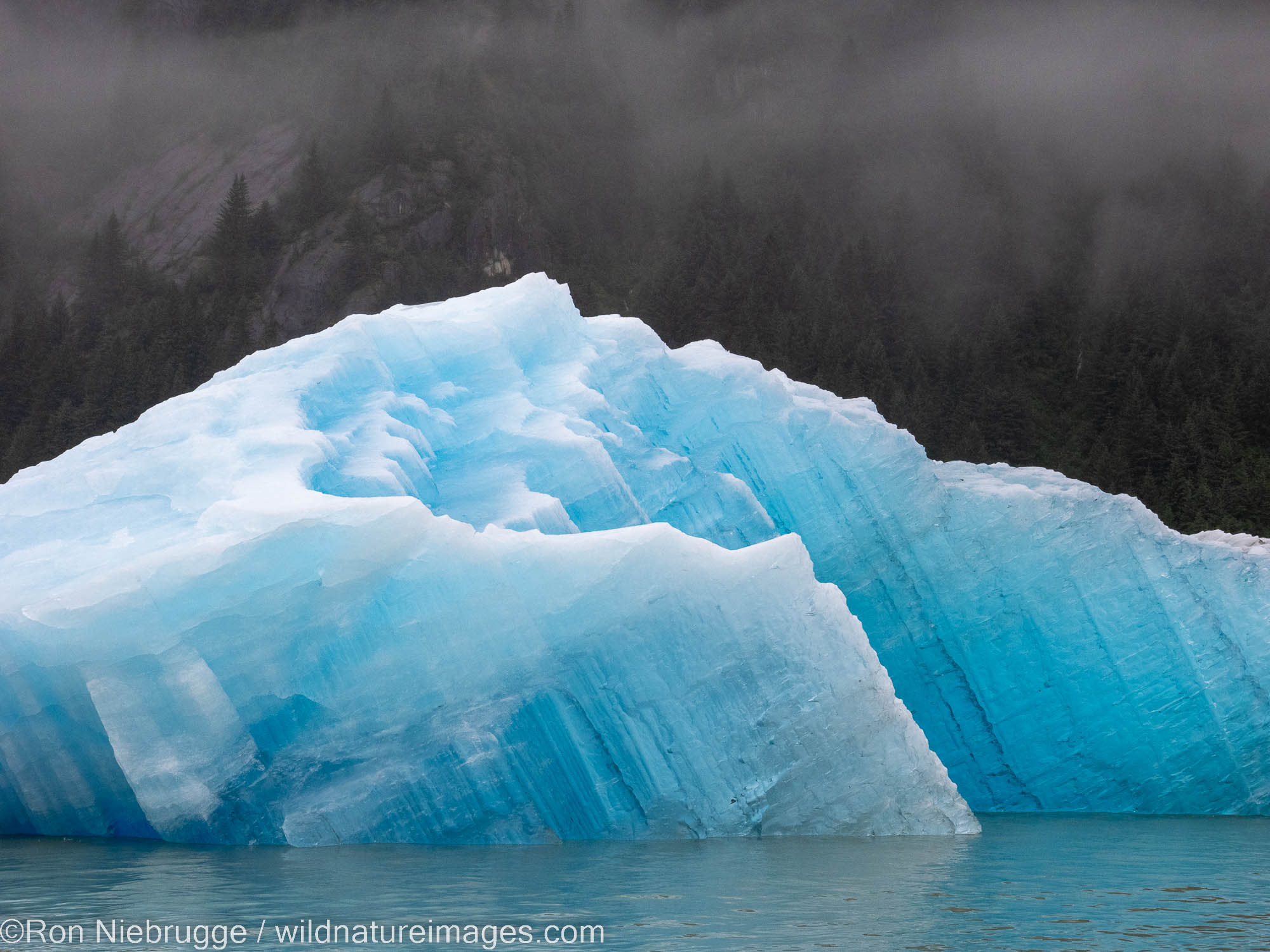 Le Conte Glacier, Tongass National Forest, Alaska.