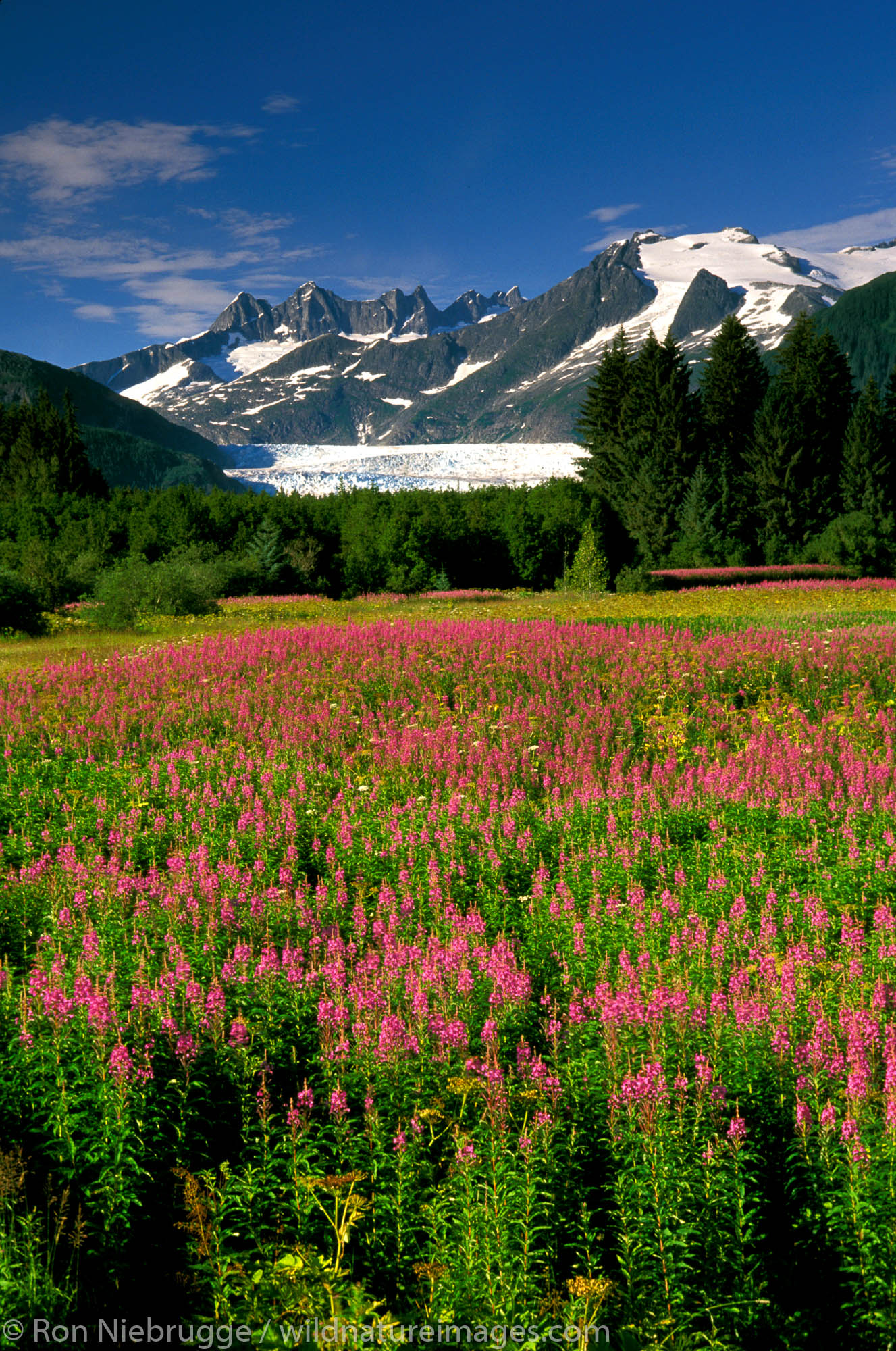 Brotherhood Park, Mendenhall Valley and Glacier, Juneau, Alaska.